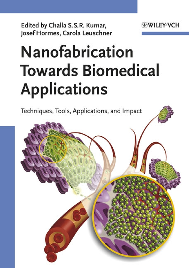 Обложка книги «Nanofabrication Towards Biomedical Applications»