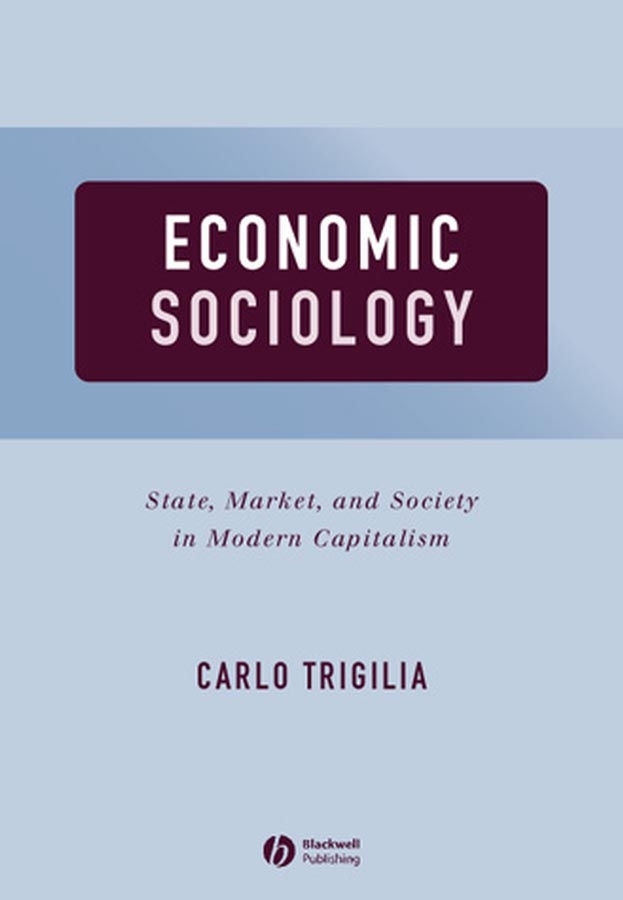 Обложка книги «Economic Sociology»