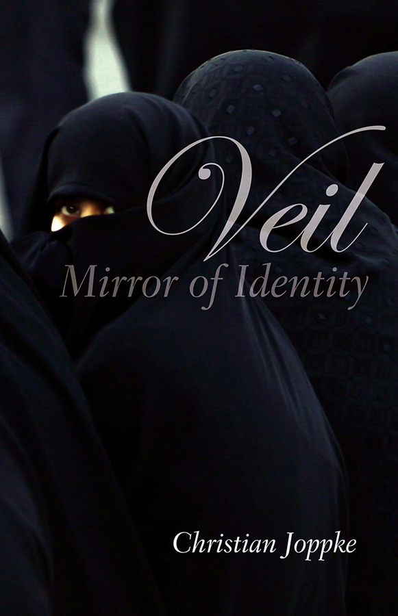 Обложка книги «Veil»