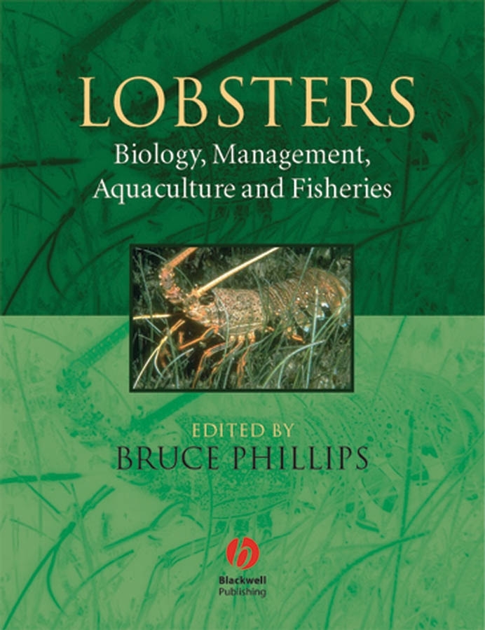 Обложка книги «Lobsters»