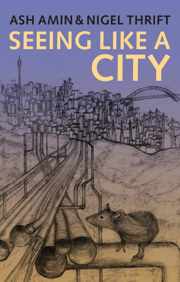 Обложка книги «Seeing Like a City»