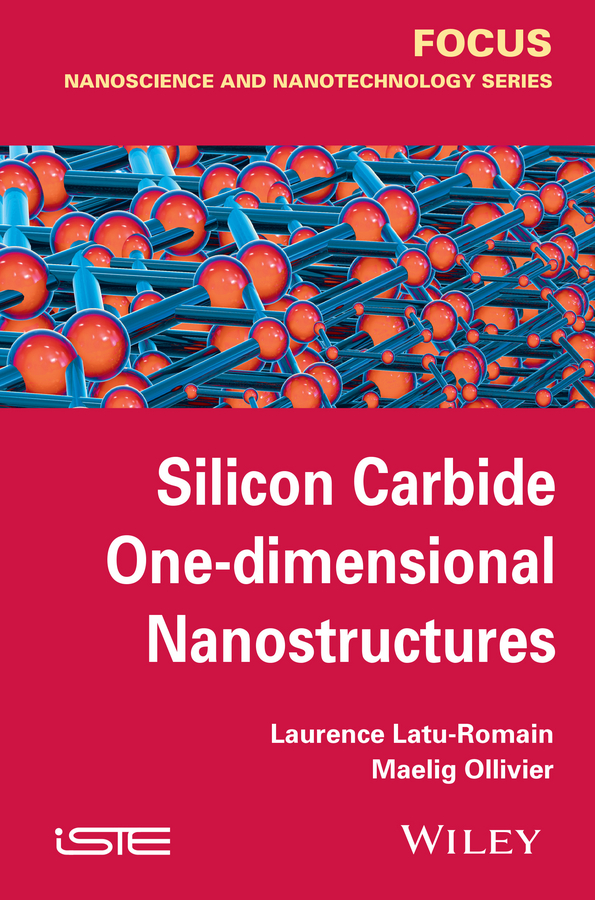 Обложка книги «Silicon Carbide One-dimensional Nanostructures»