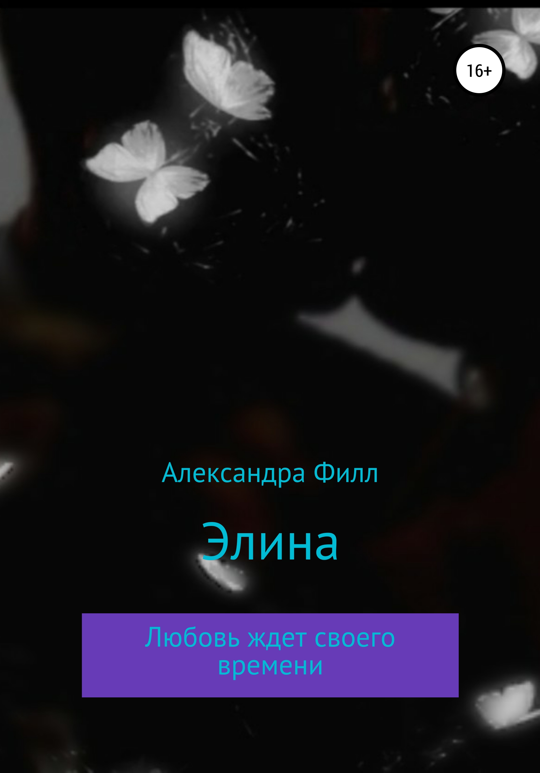 Обложка книги «Элина»