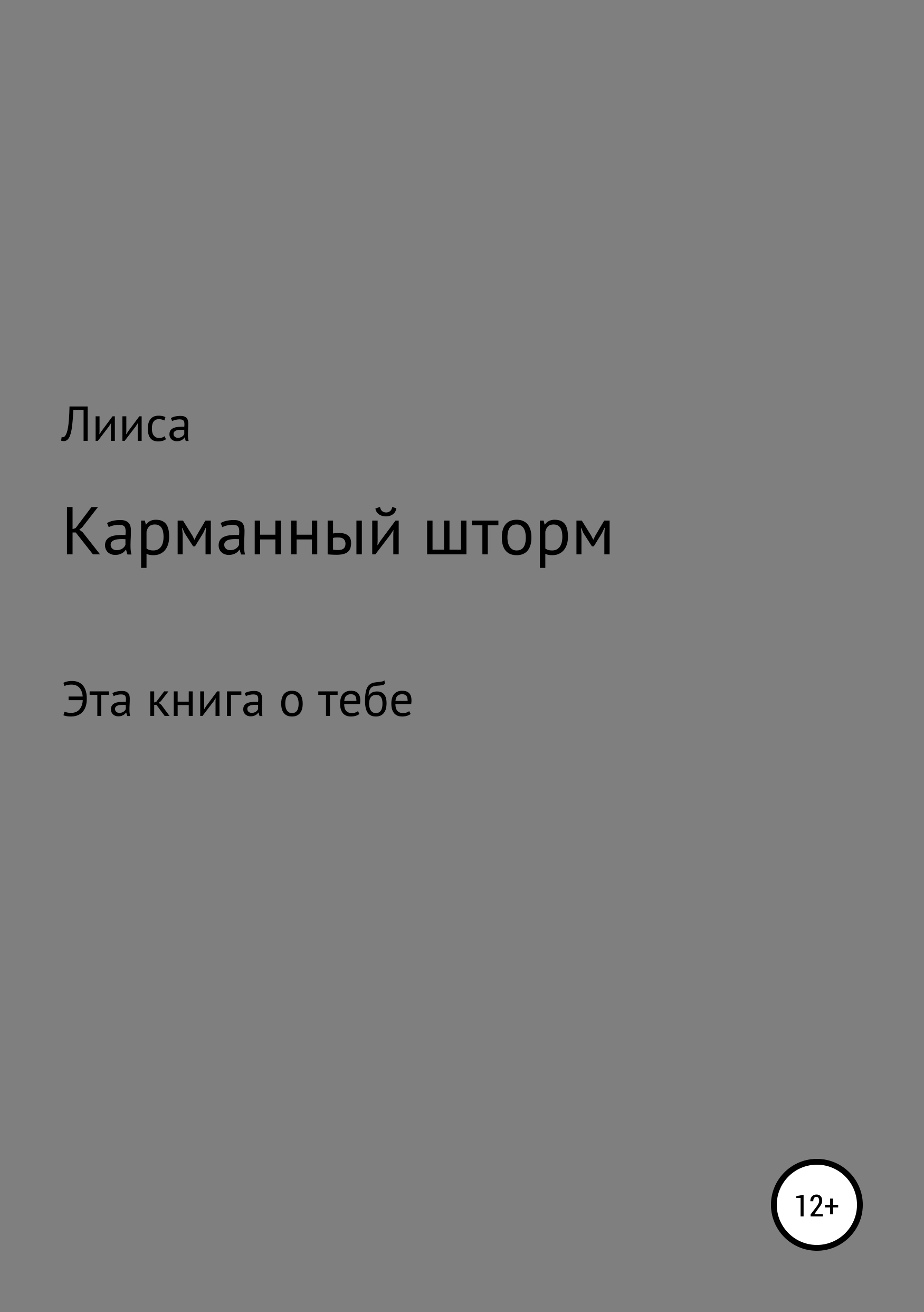 Обложка книги «Карманный шторм»