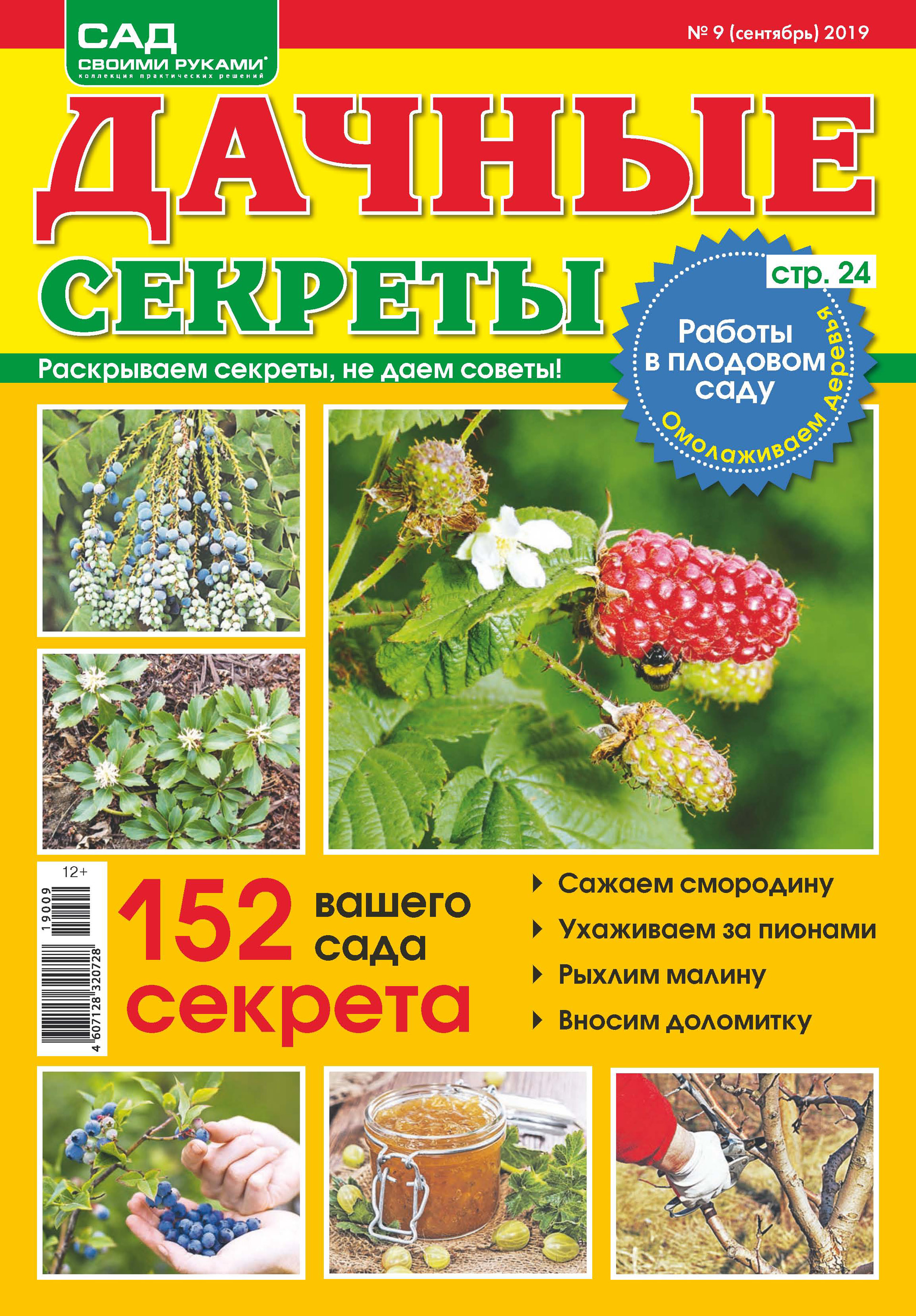 Обложка книги «Сад своими руками. Дачные секреты №09/2019»