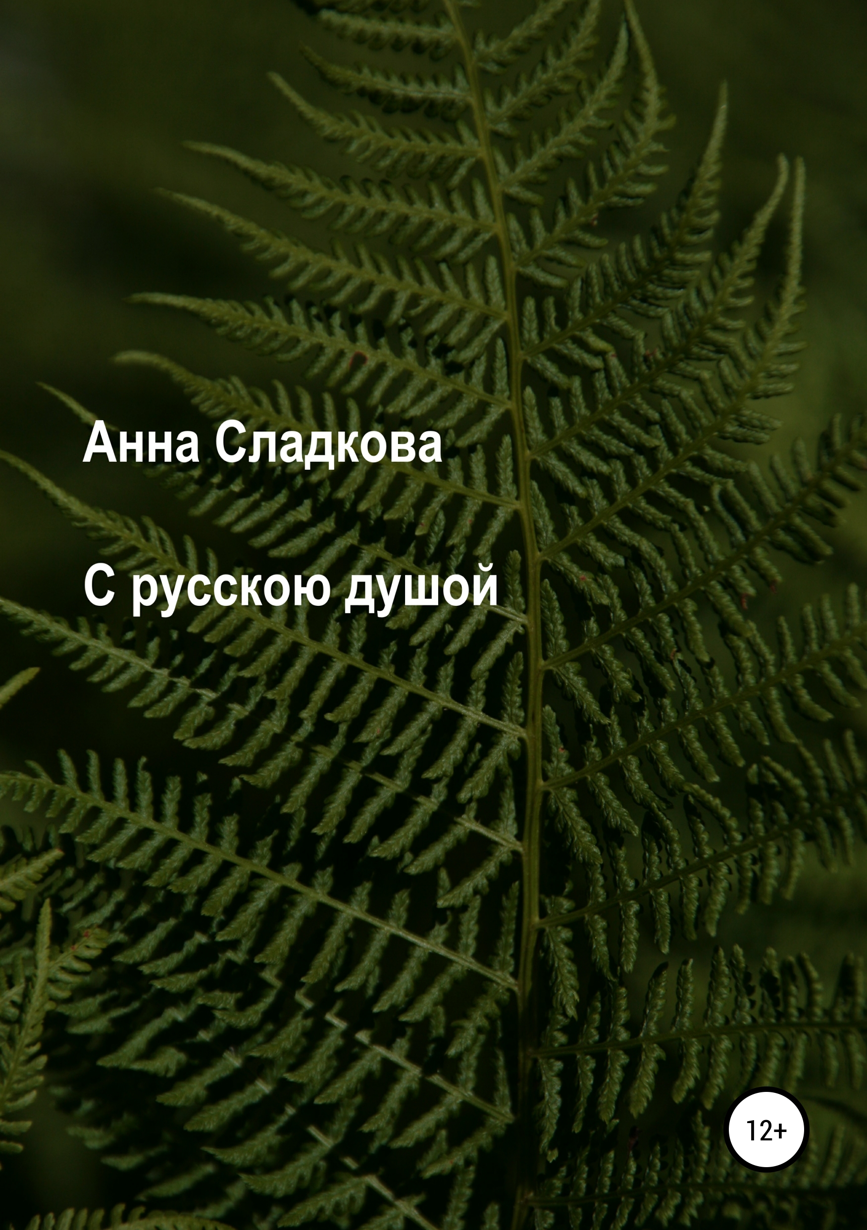 Обложка книги «С русскою душой»