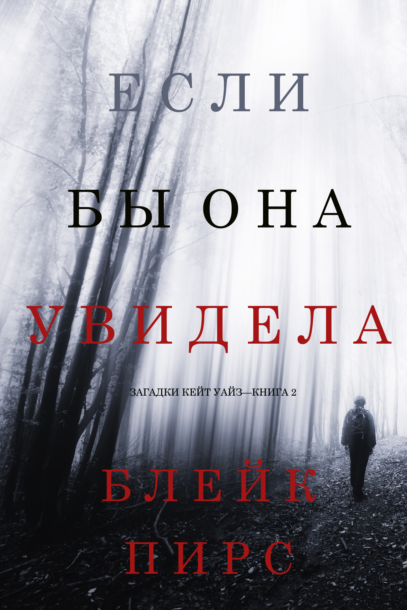 Обложка книги «Если бы она увидела»
