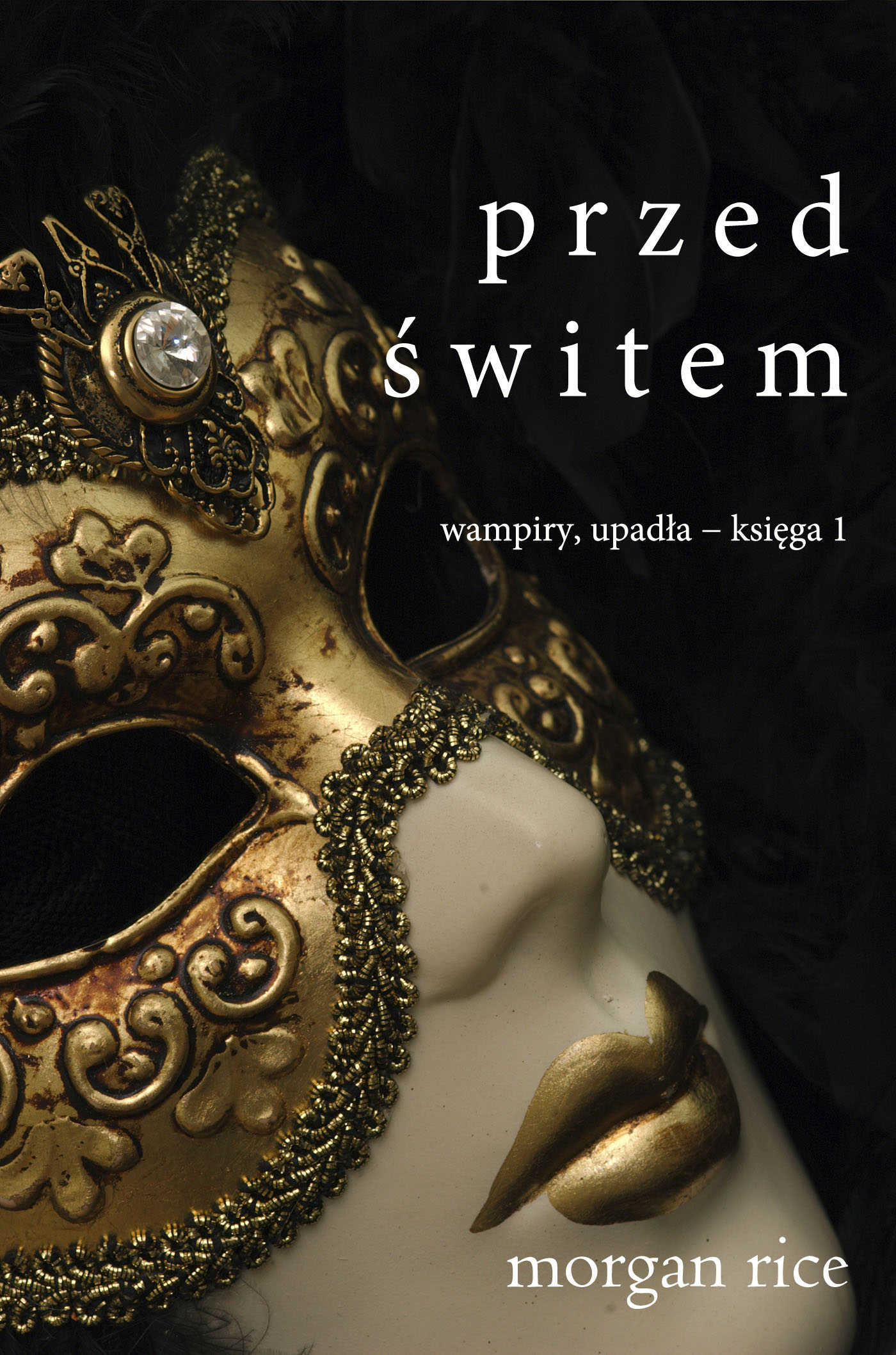 Обложка книги «Przed Świtem»