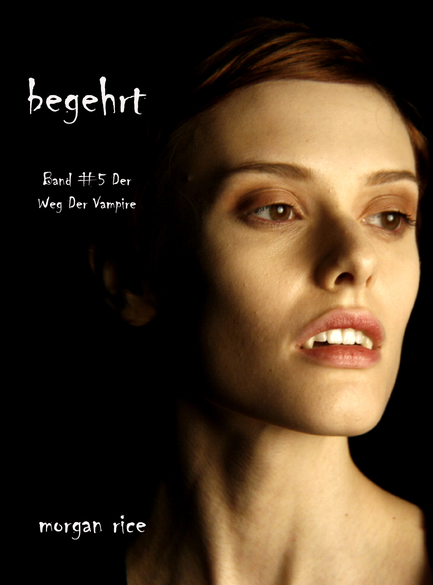 Обложка книги «Begehrt»