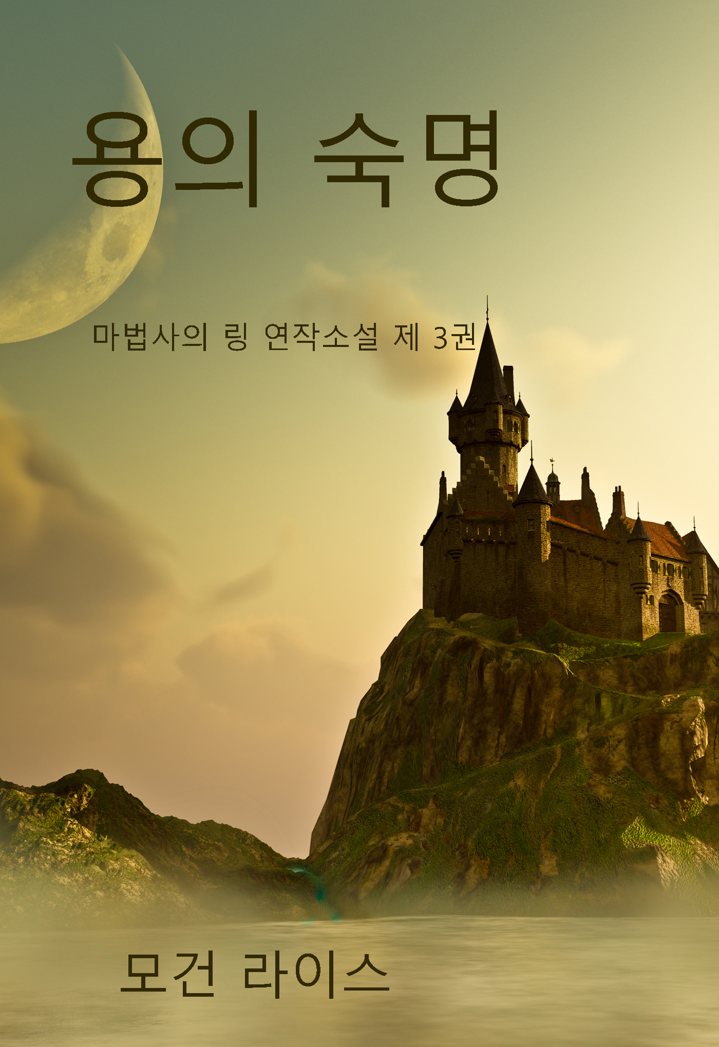 Обложка книги «용의 숙명»
