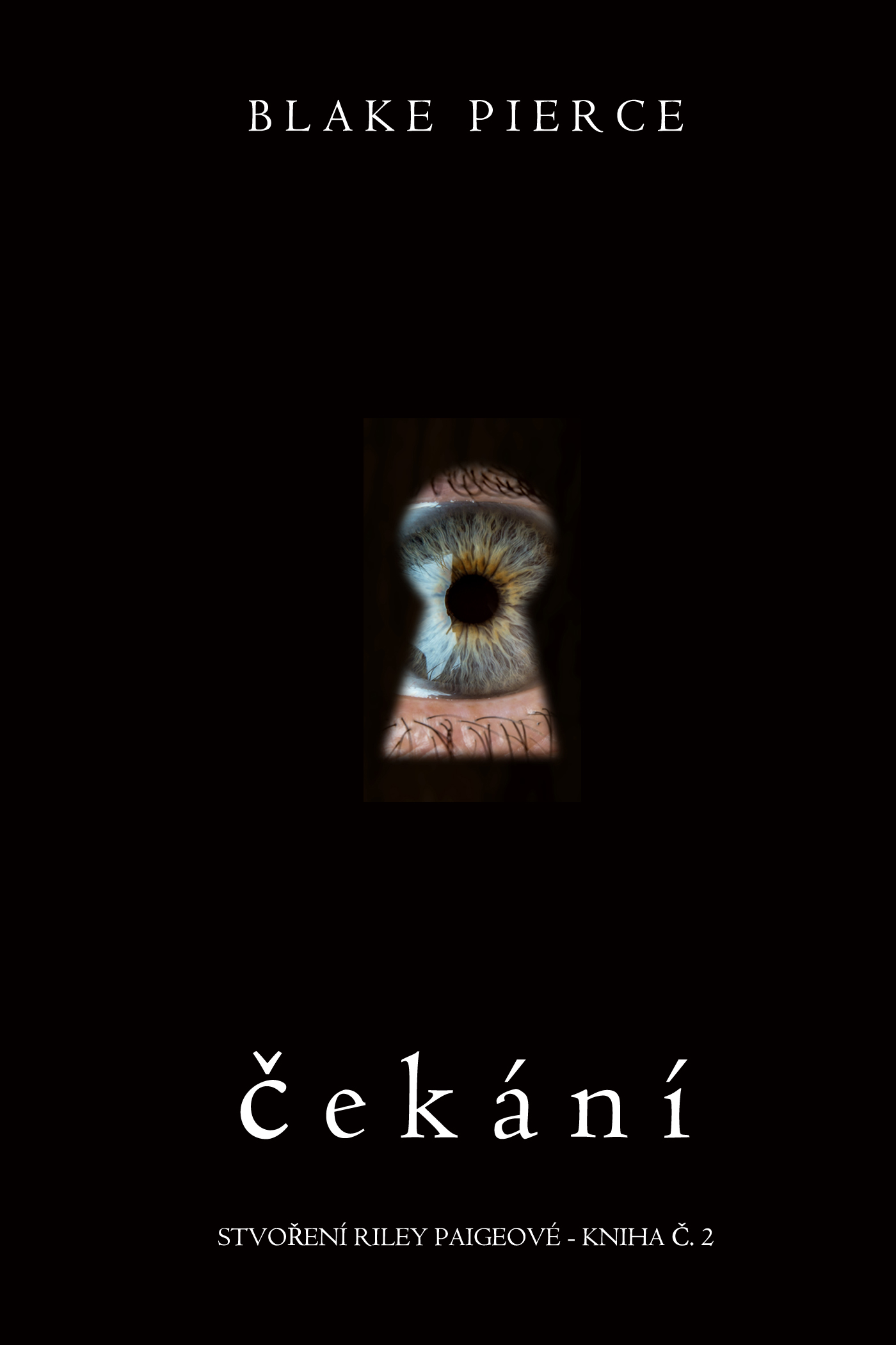 Обложка книги «Čekání»