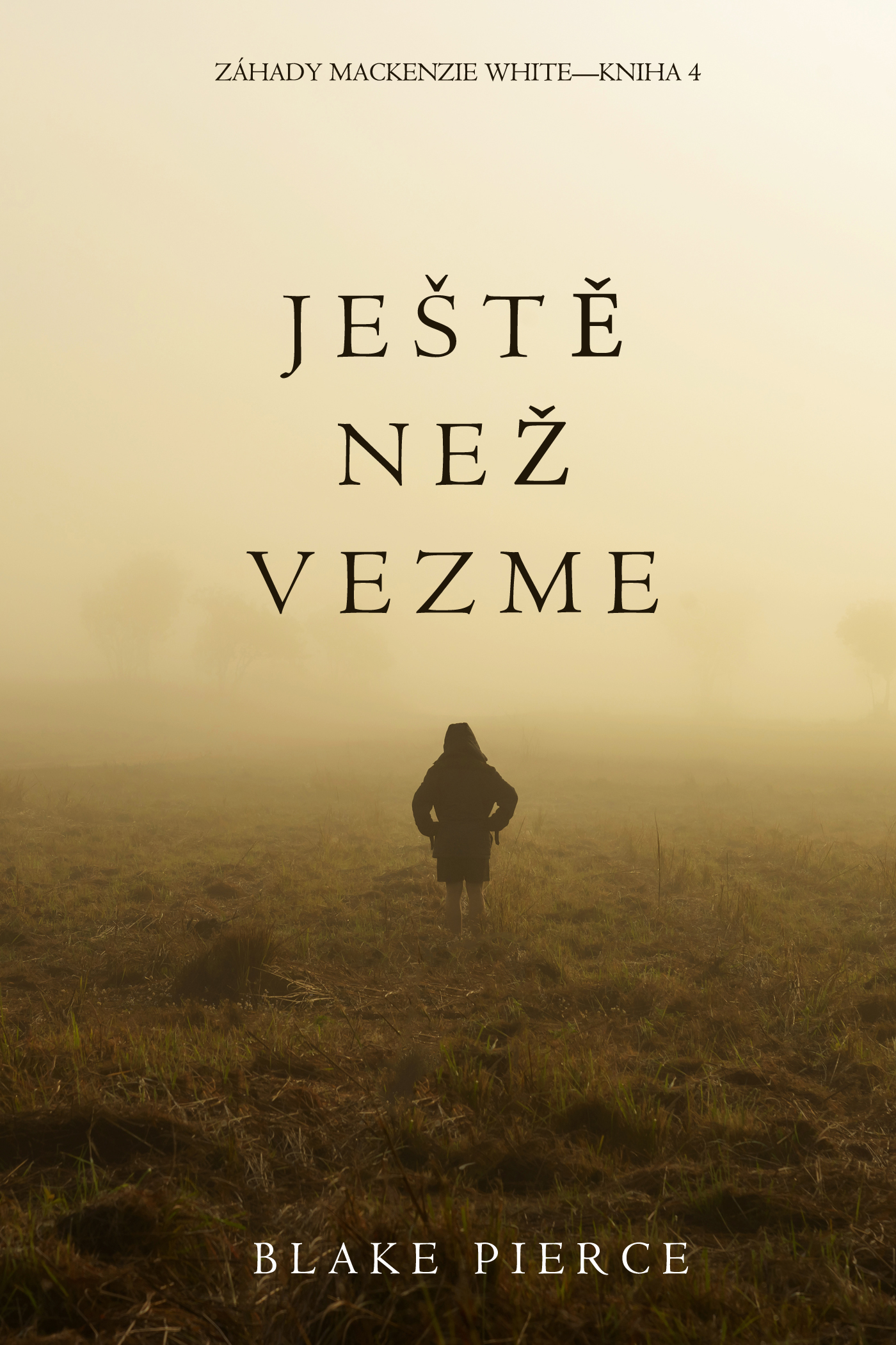 Обложка книги «Ještě Než Vezme»