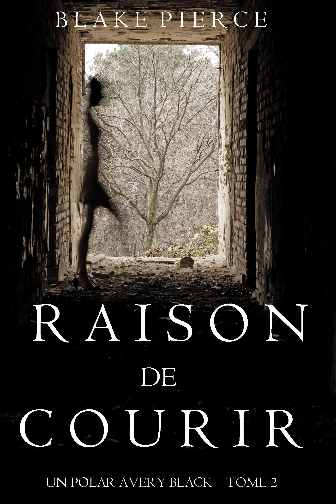 Обложка книги «Raison de Courir»