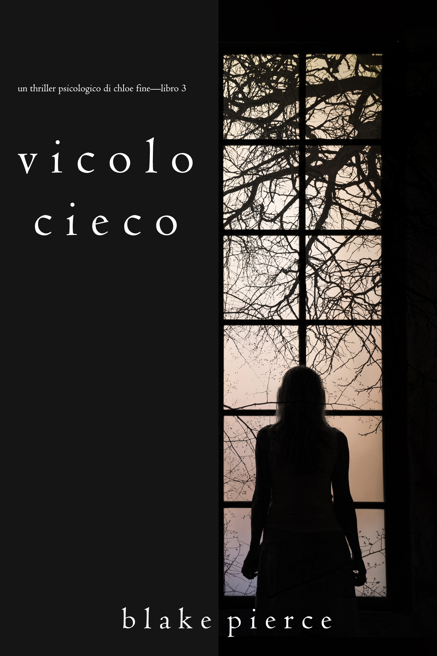 Обложка книги «Vicolo Cieco»