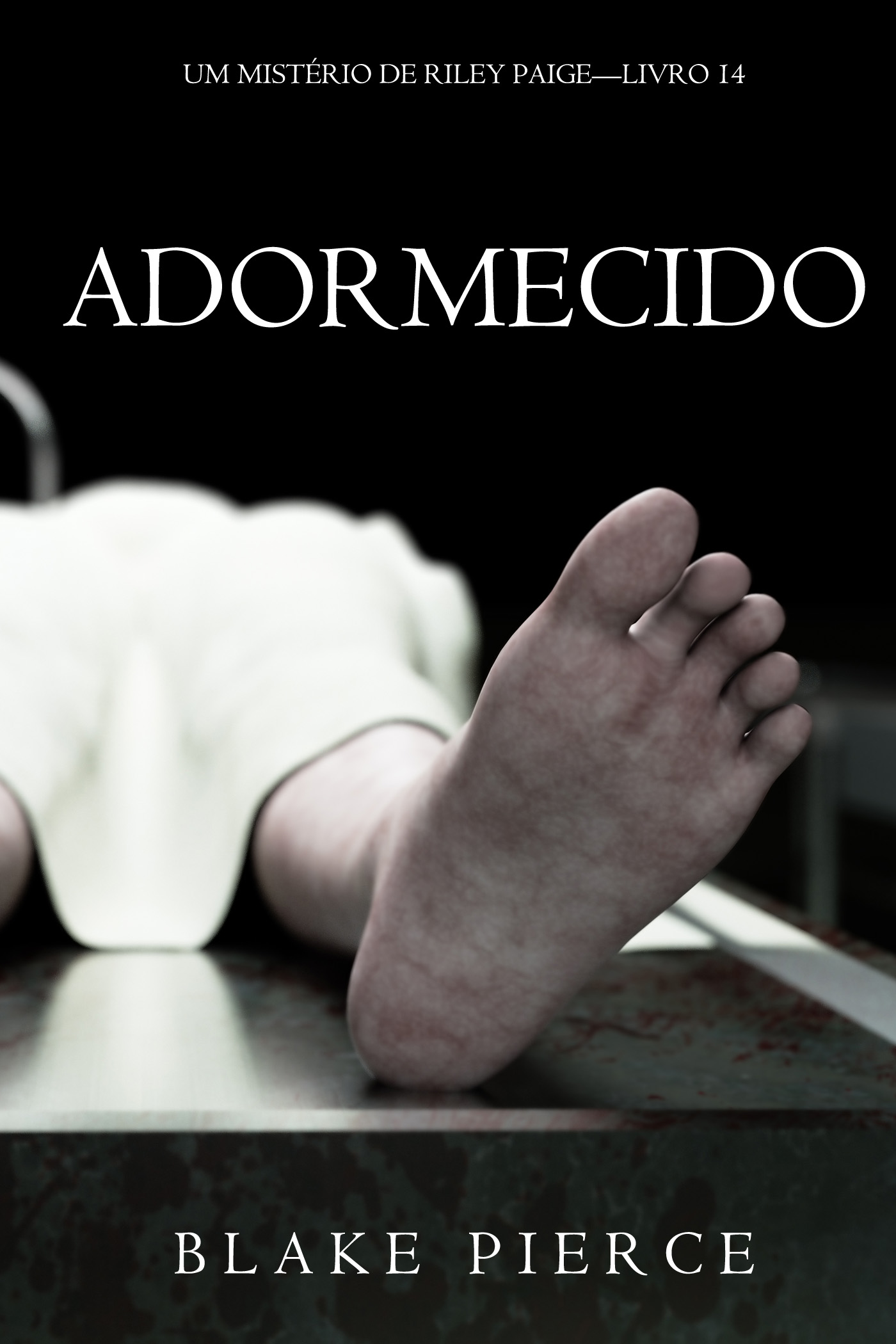 Обложка книги «Adormecido»