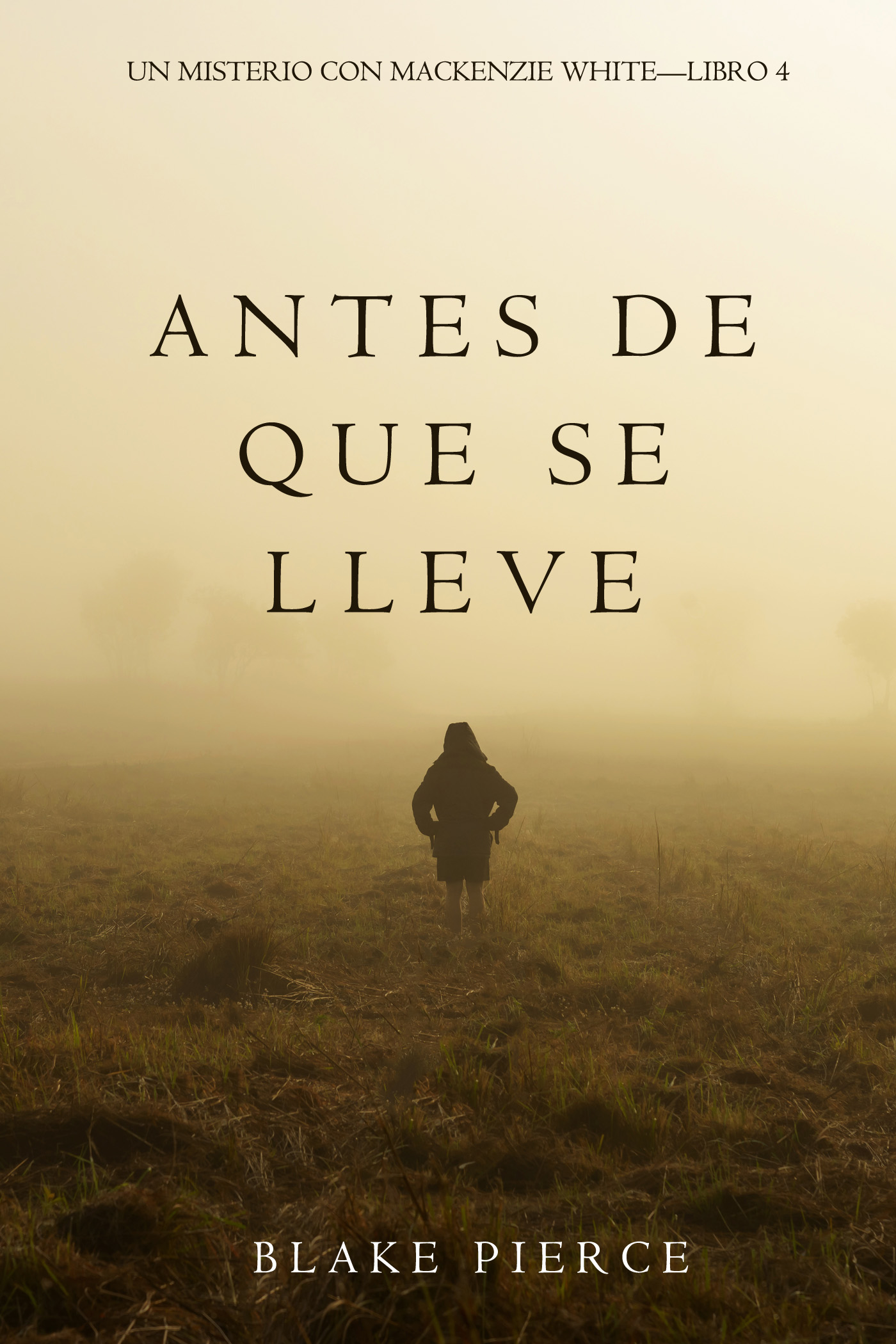 Обложка книги «Antes De Que Se Lleve»