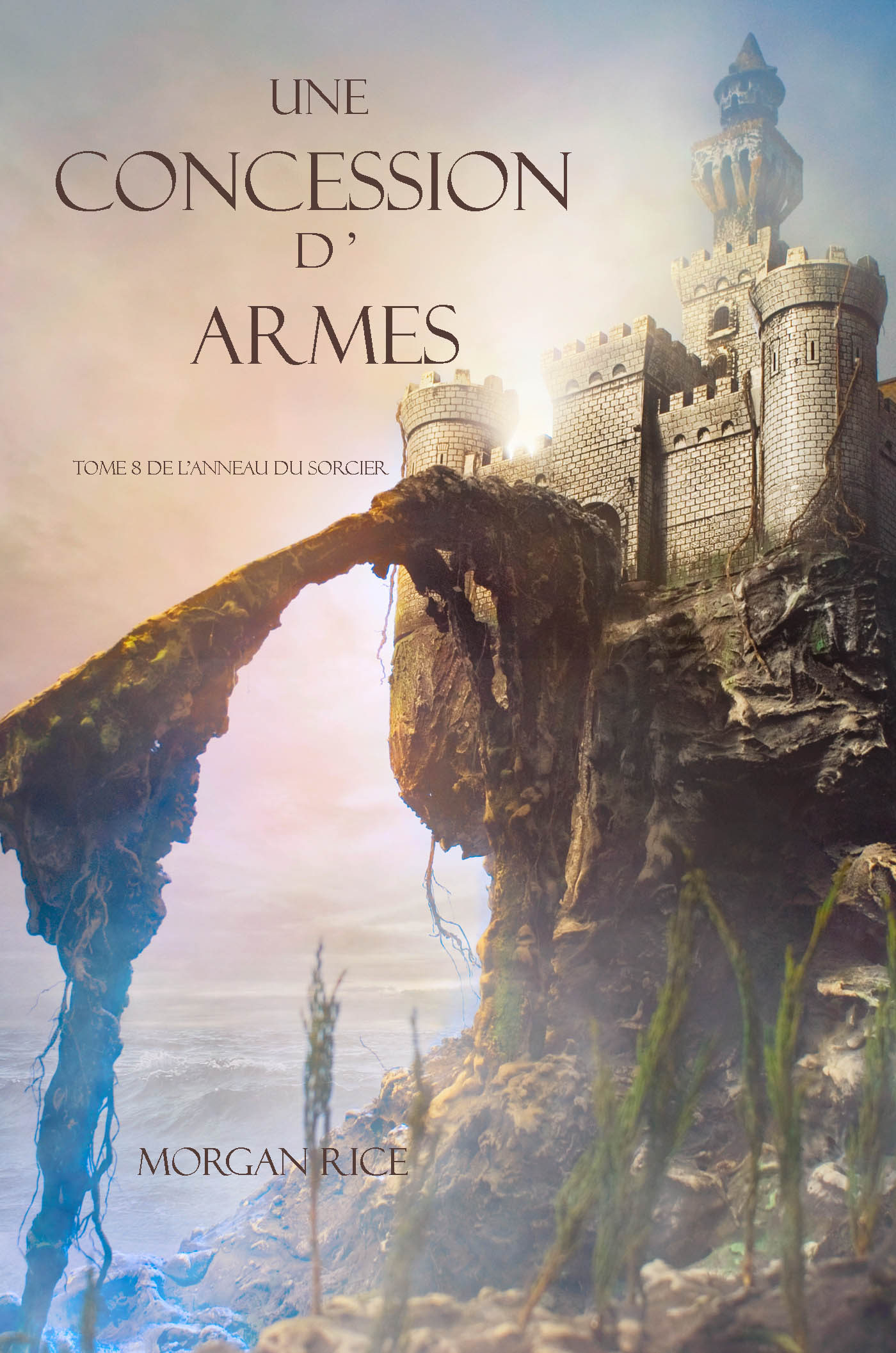 Обложка книги «Une Concession d’Armes»
