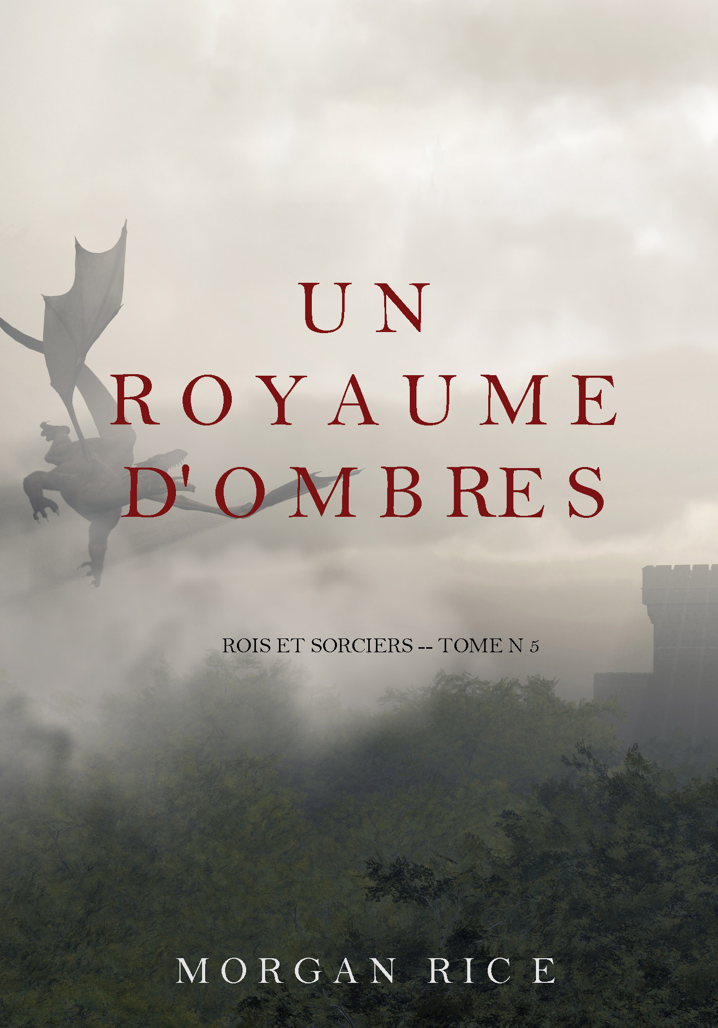 Обложка книги «Un Royaume D'ombres»