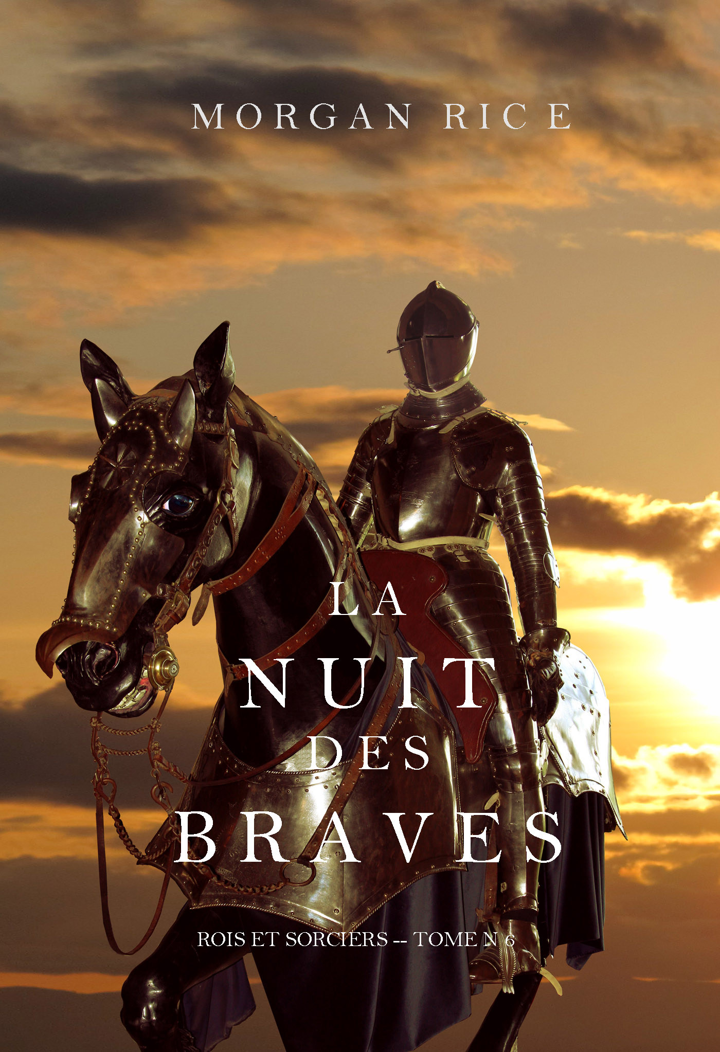 Обложка книги «La Nuit des Braves»