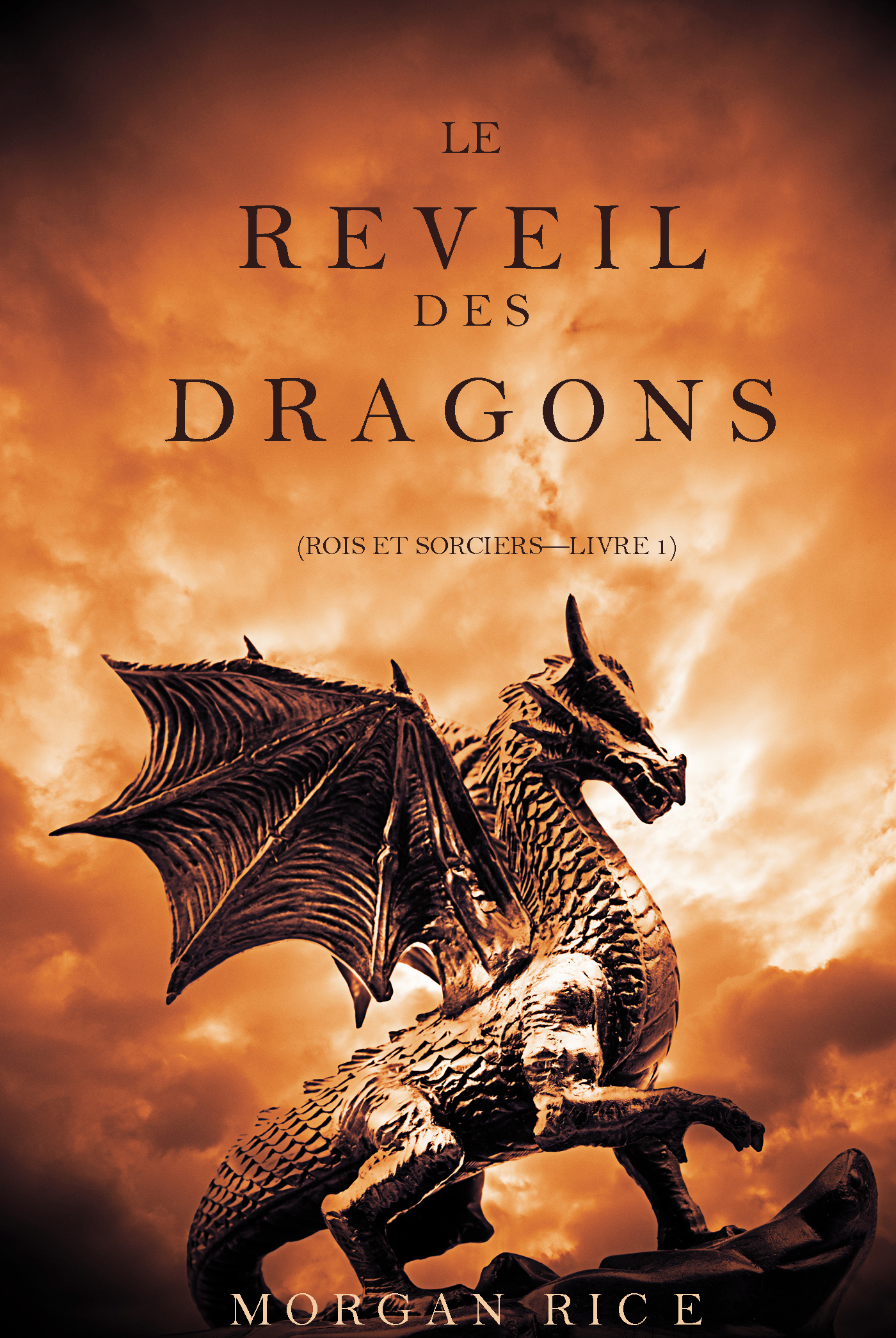 Обложка книги «Le Réveil des Dragons»