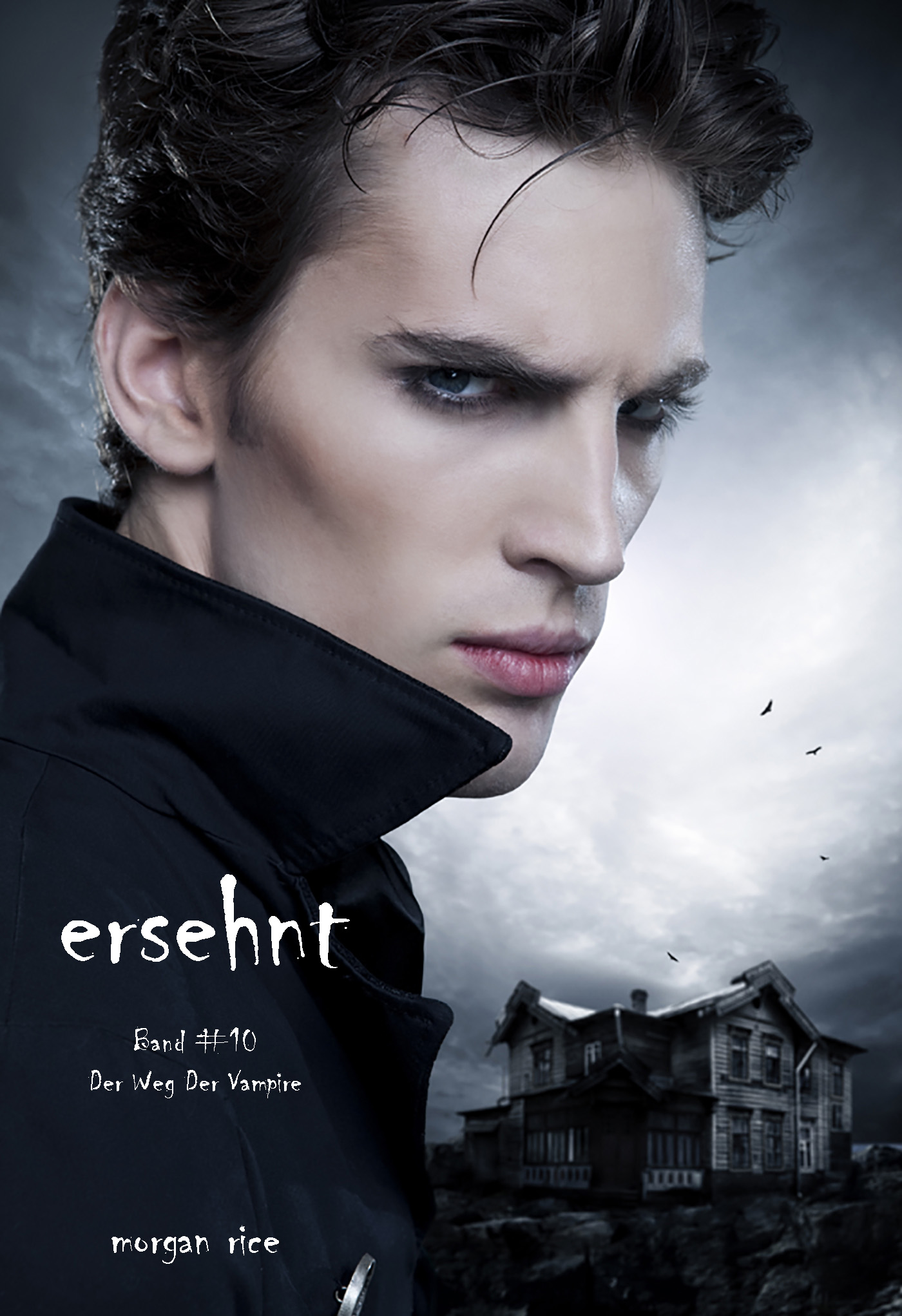 Обложка книги «Ersehnt»
