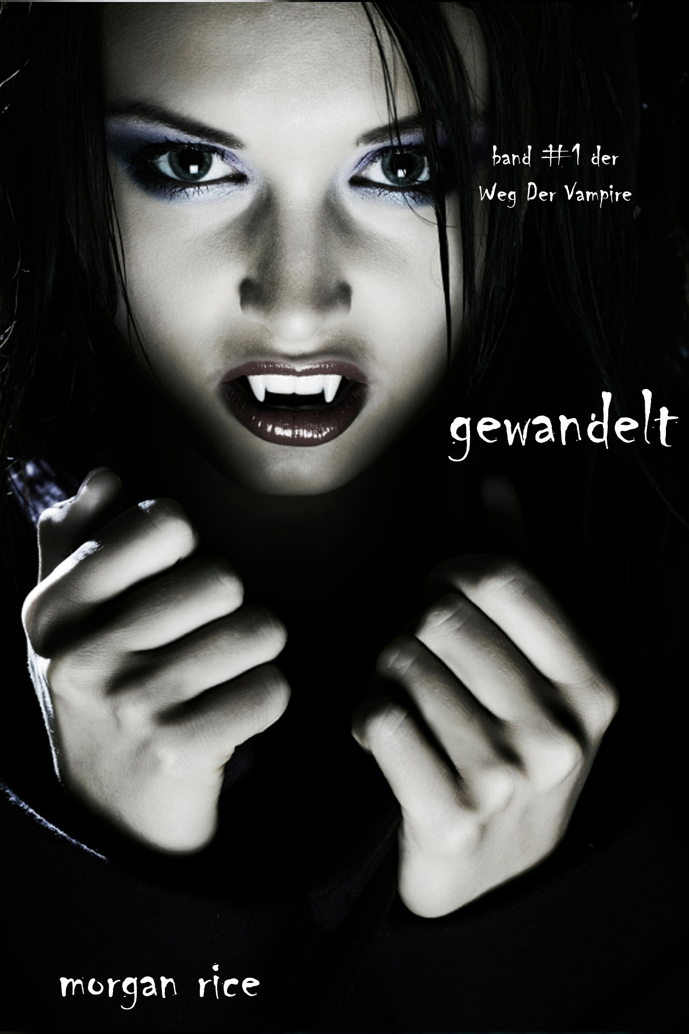 Обложка книги «Gewandelt»