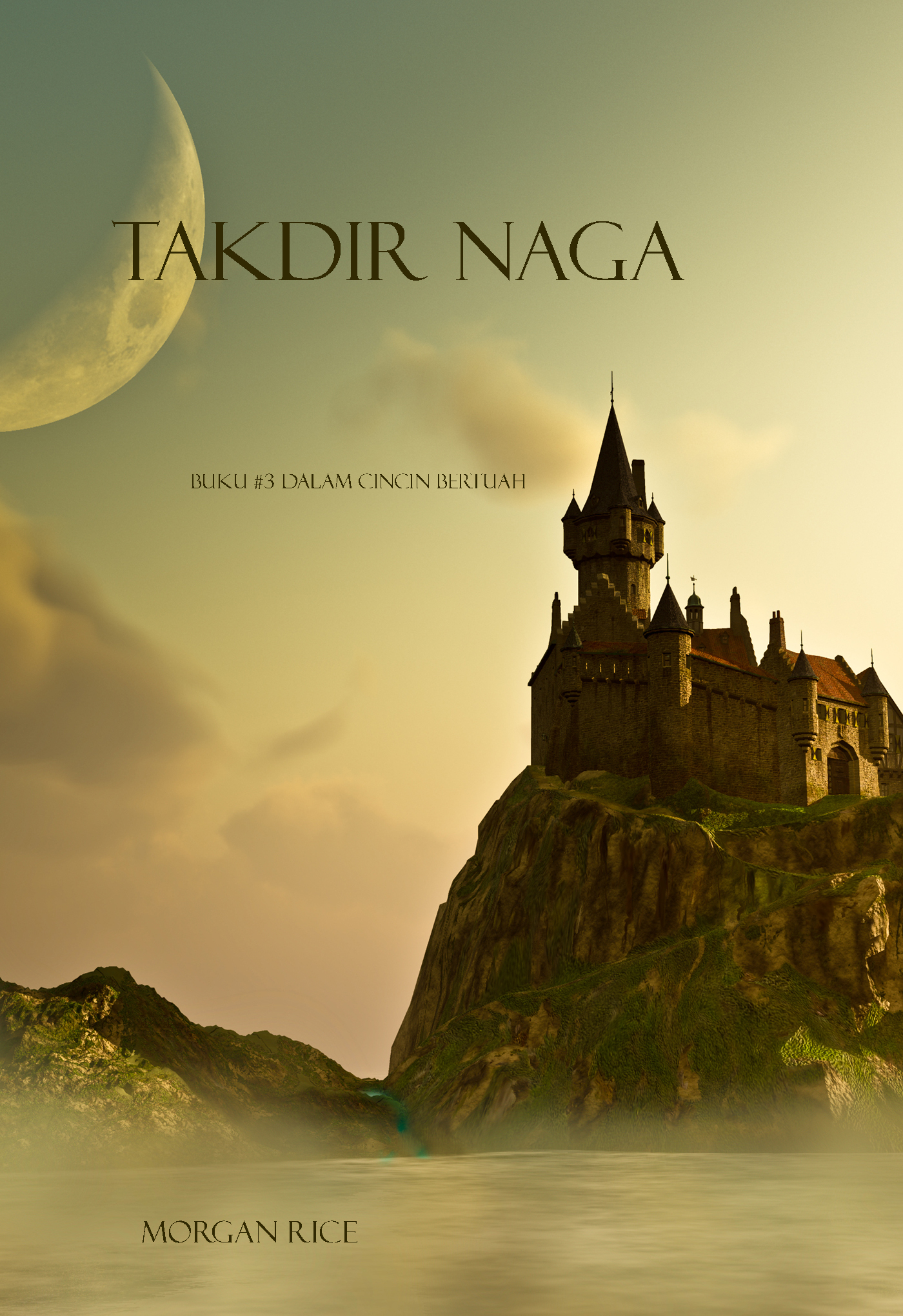 Обложка книги «Takdir Naga»