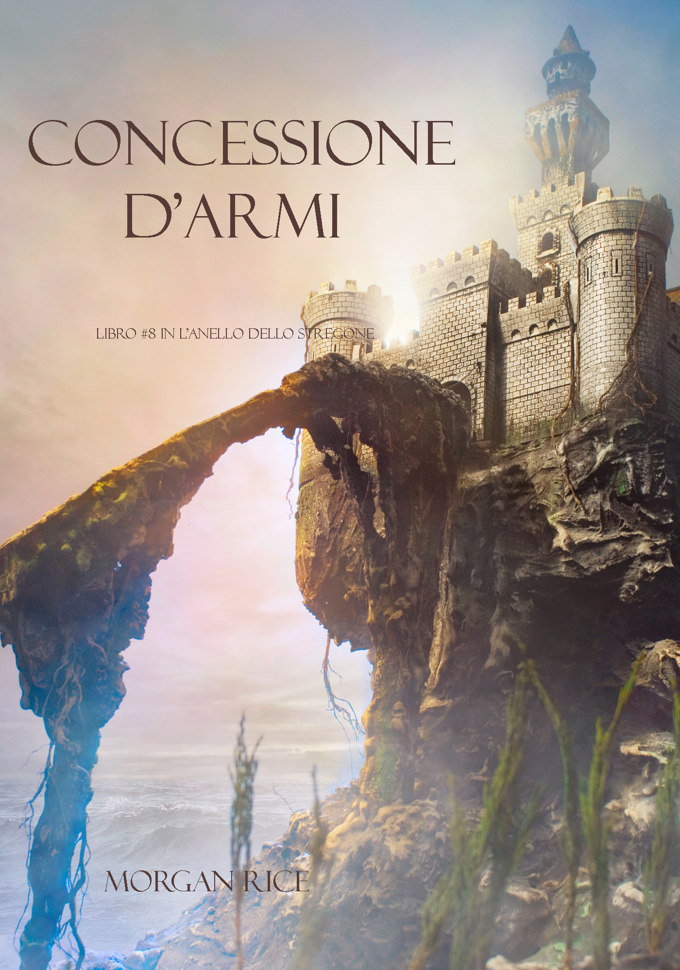 Обложка книги «Concessione D’armi»