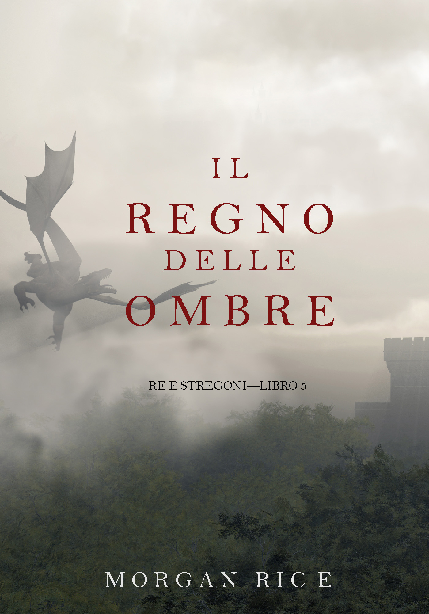 Обложка книги «Il Regno Delle Ombre»