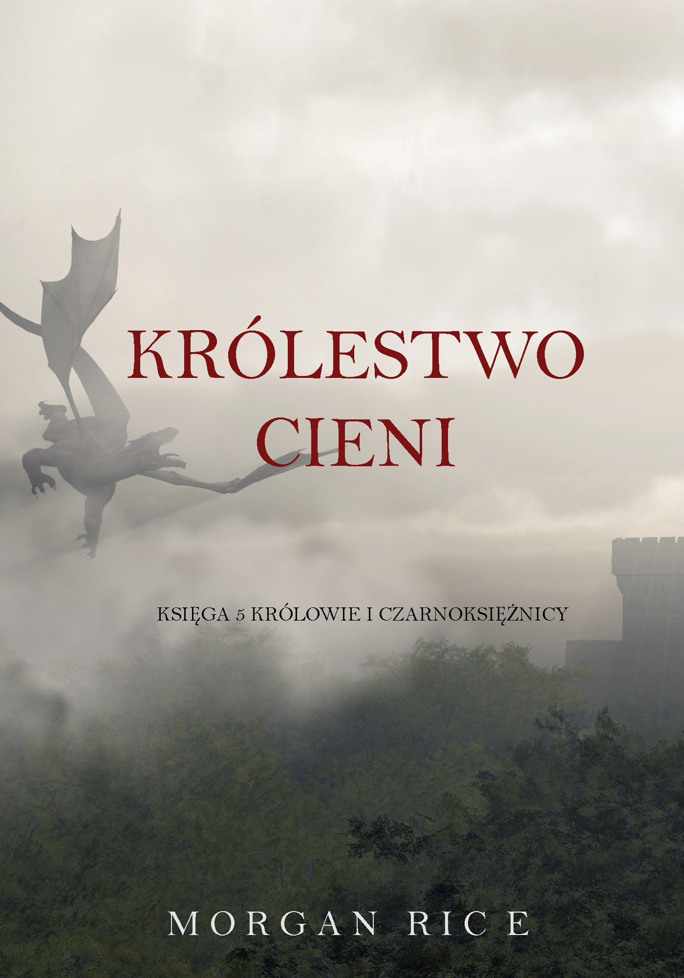 Обложка книги «Królestwo Cieni»