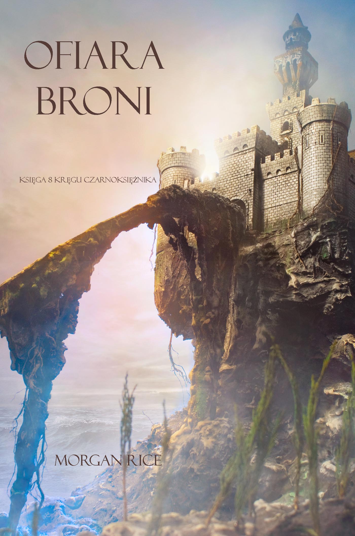 Обложка книги «Ofiara Broni»