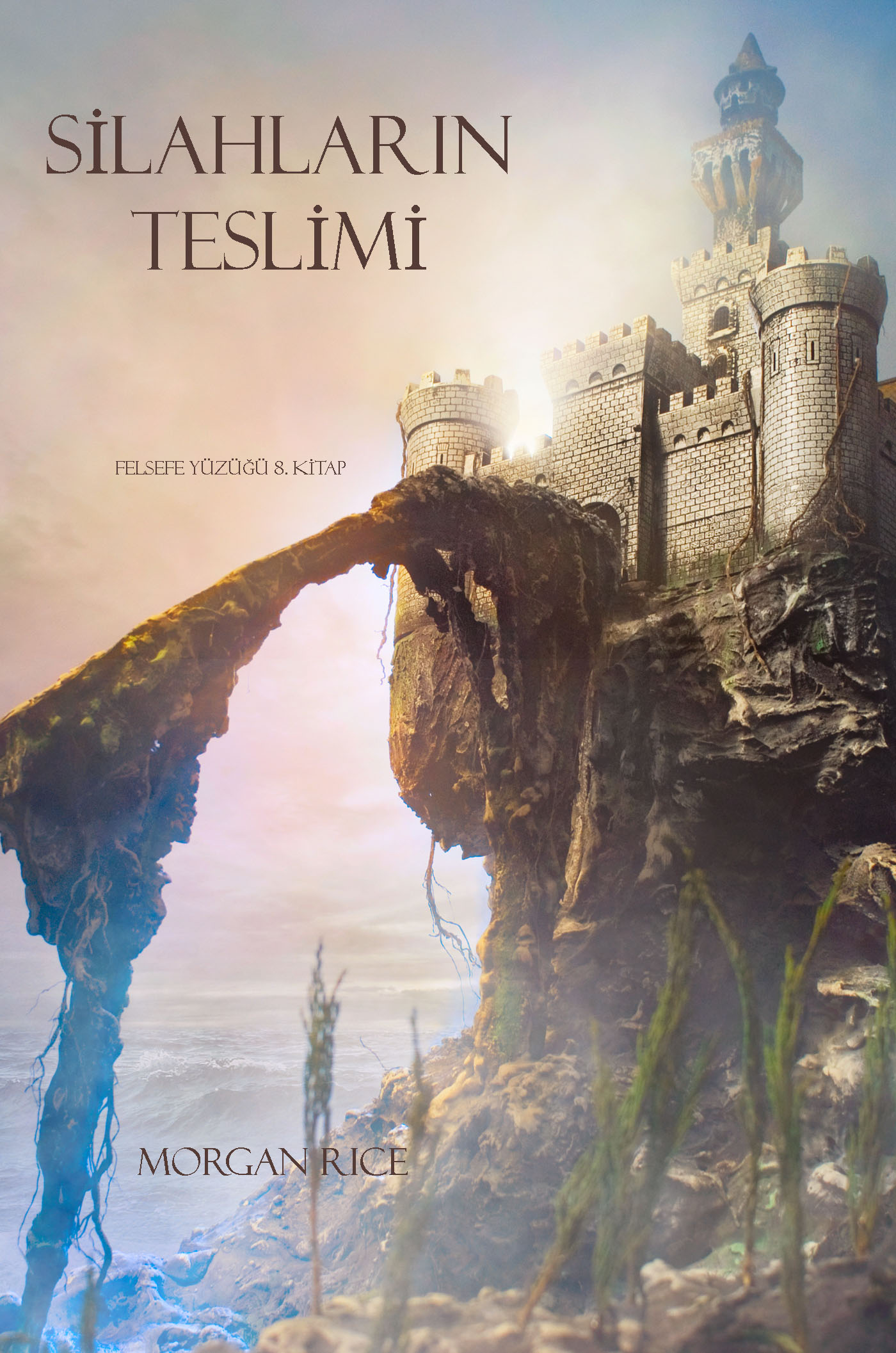 Обложка книги «Silahlarin Teslimi»
