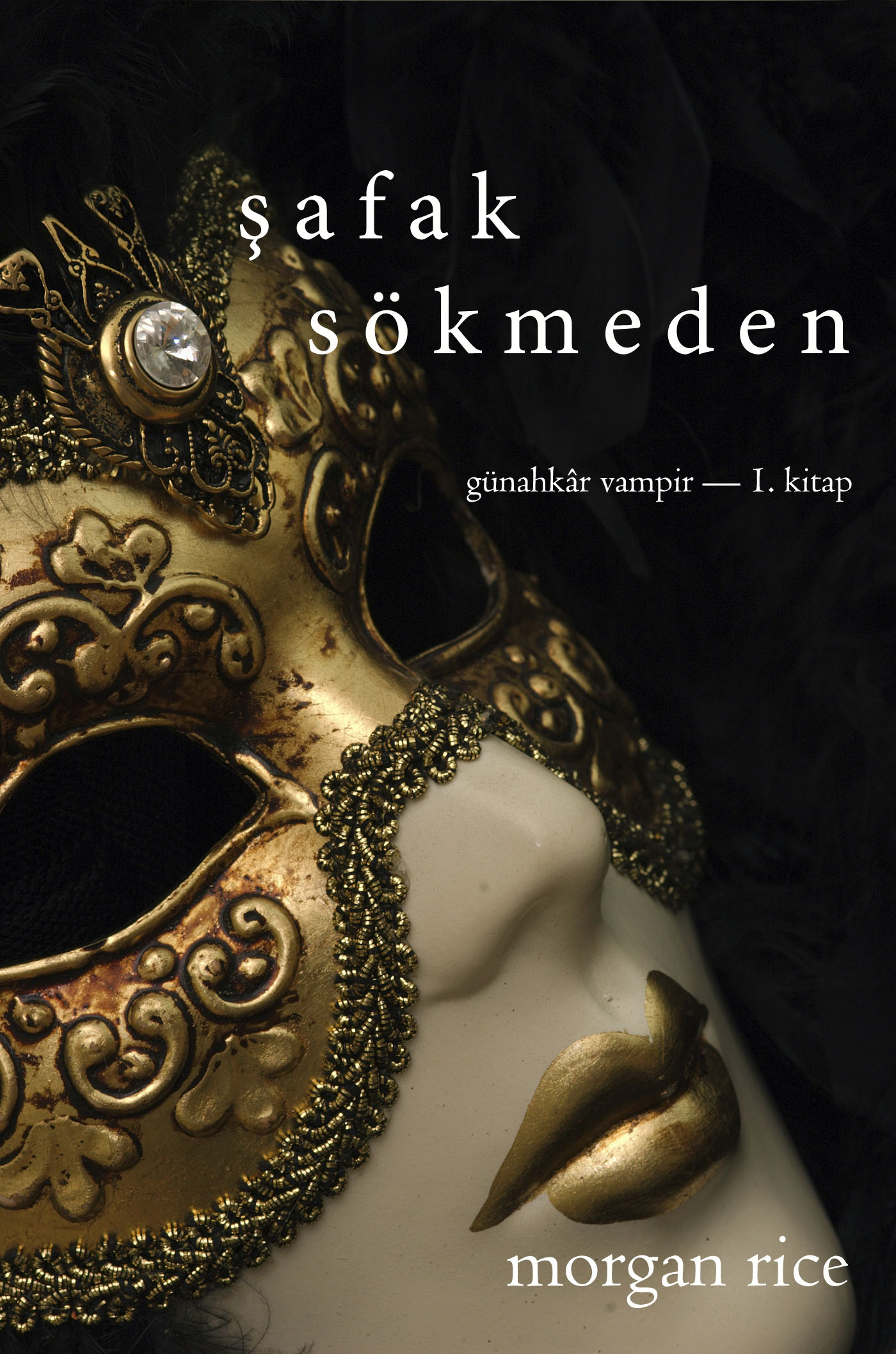 Обложка книги «Şafak Sökmeden»