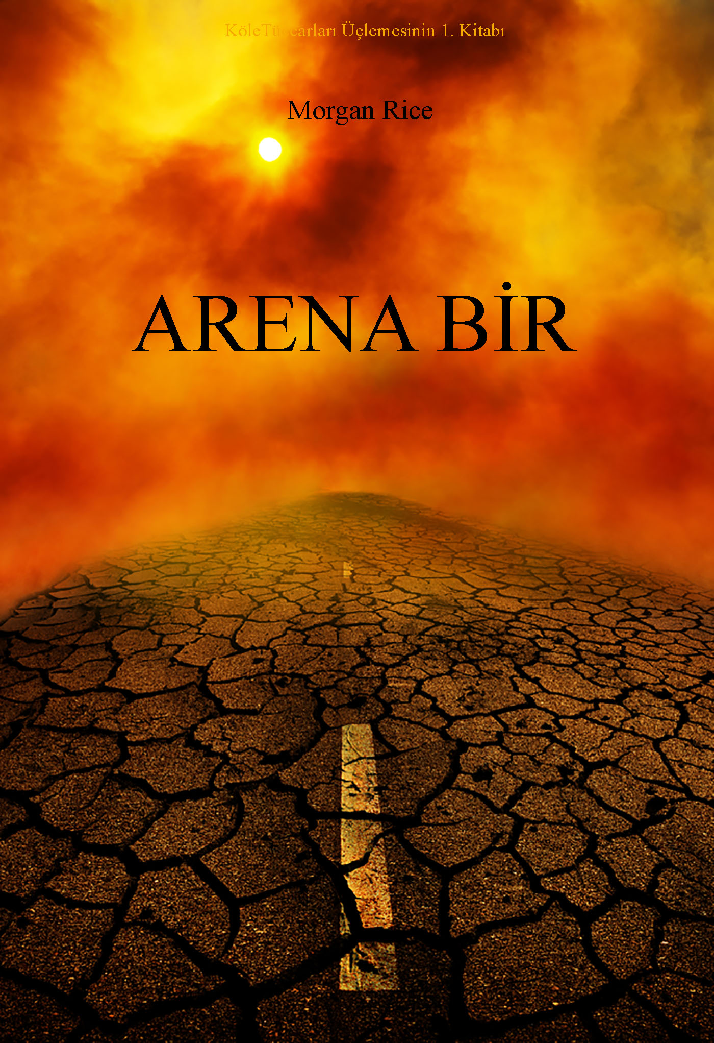 Обложка книги «Arena Bir»