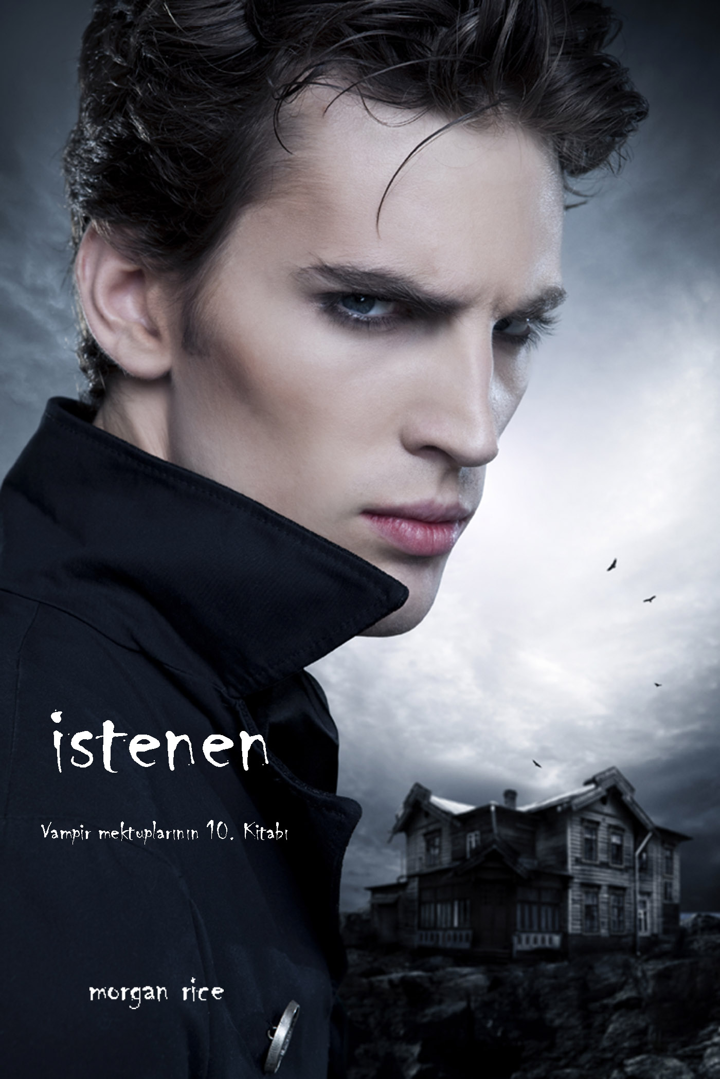 Обложка книги «İstenen»