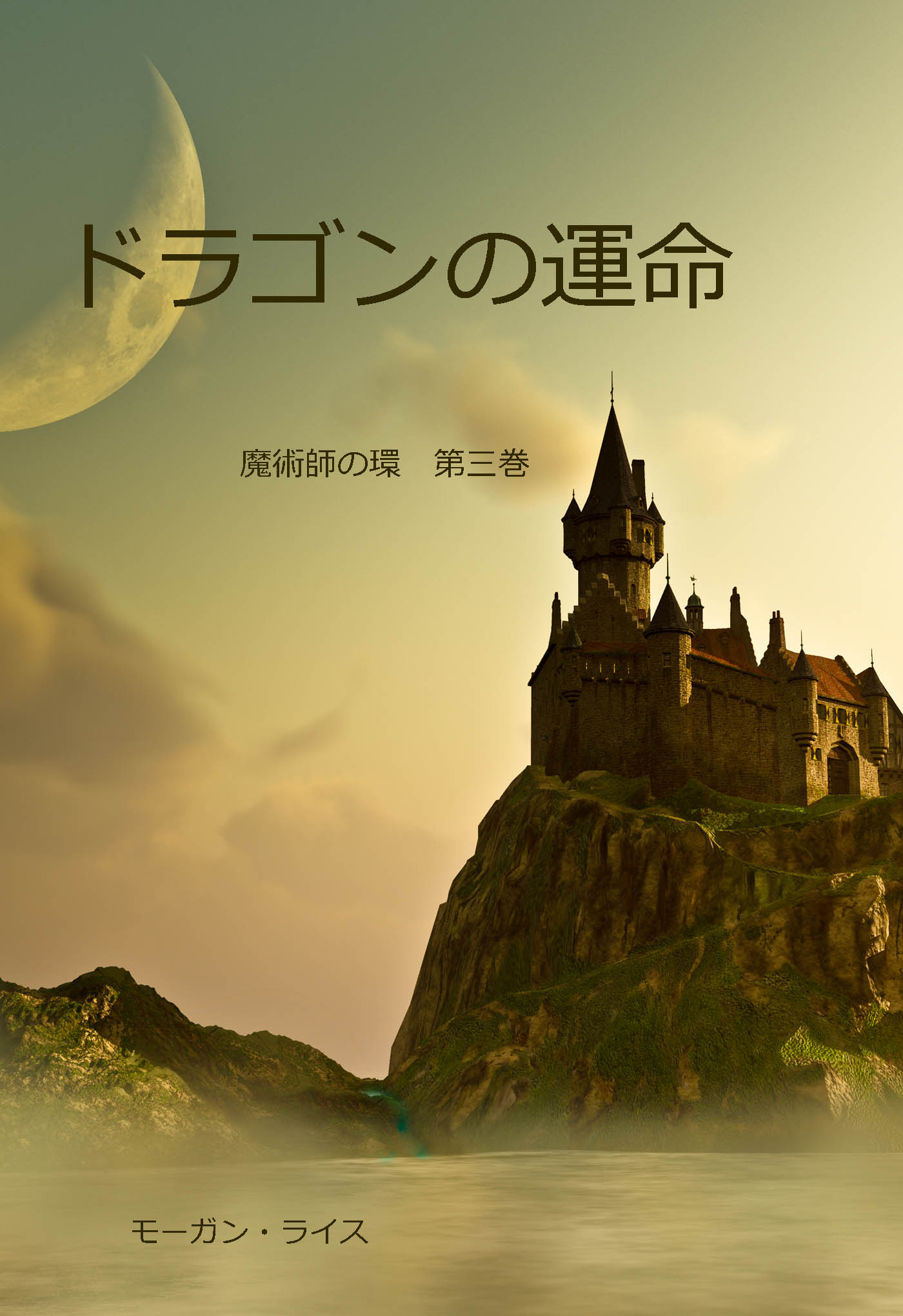 Обложка книги «ドラゴンの運命»