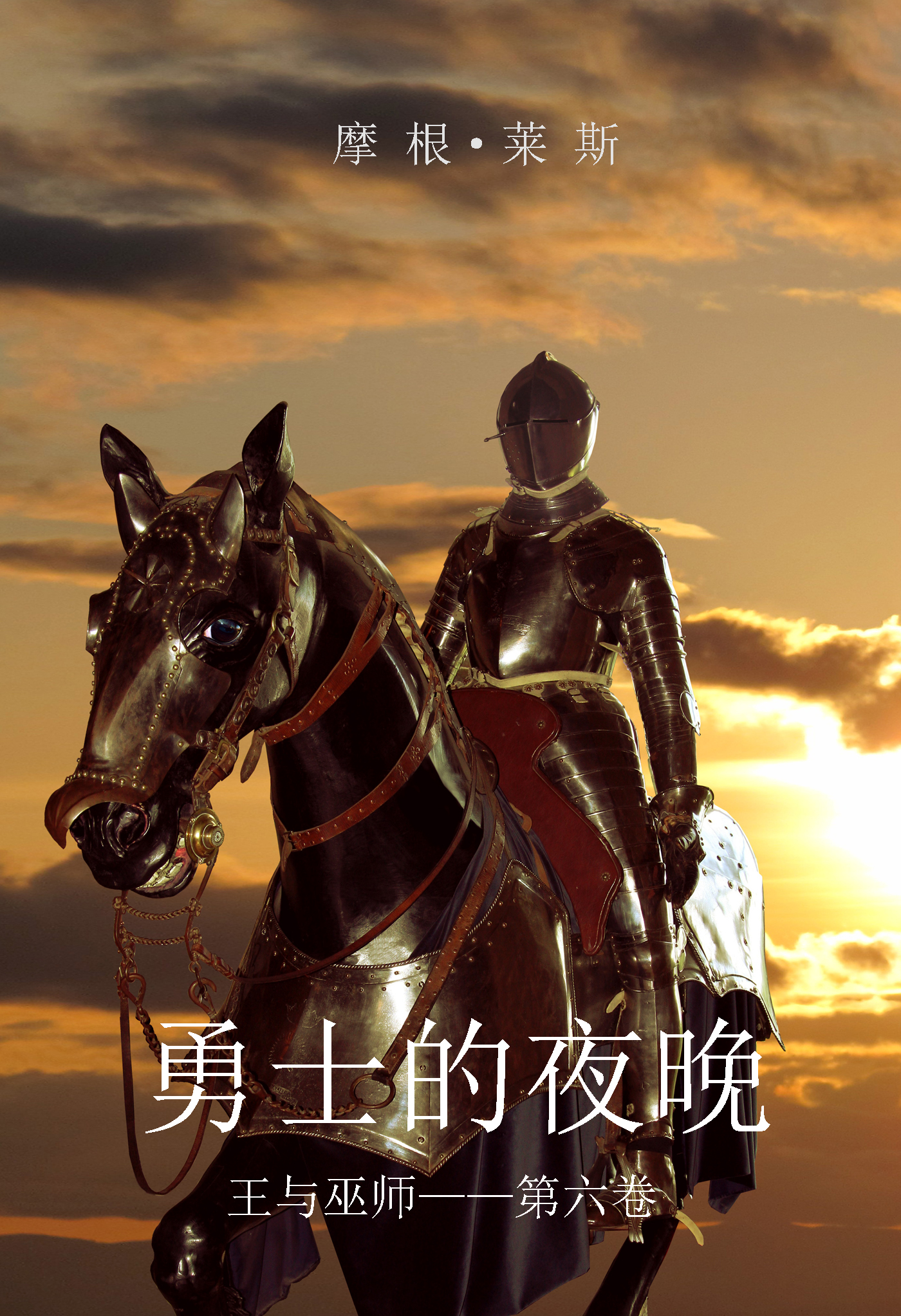 Обложка книги «勇士的夜晚»