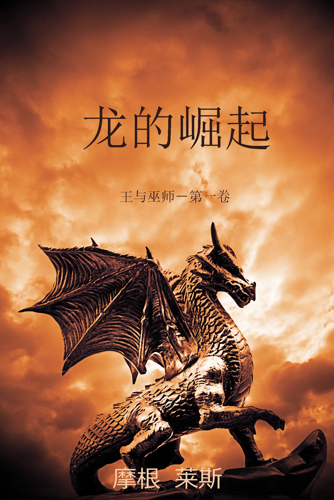 Обложка книги «龙的崛起»