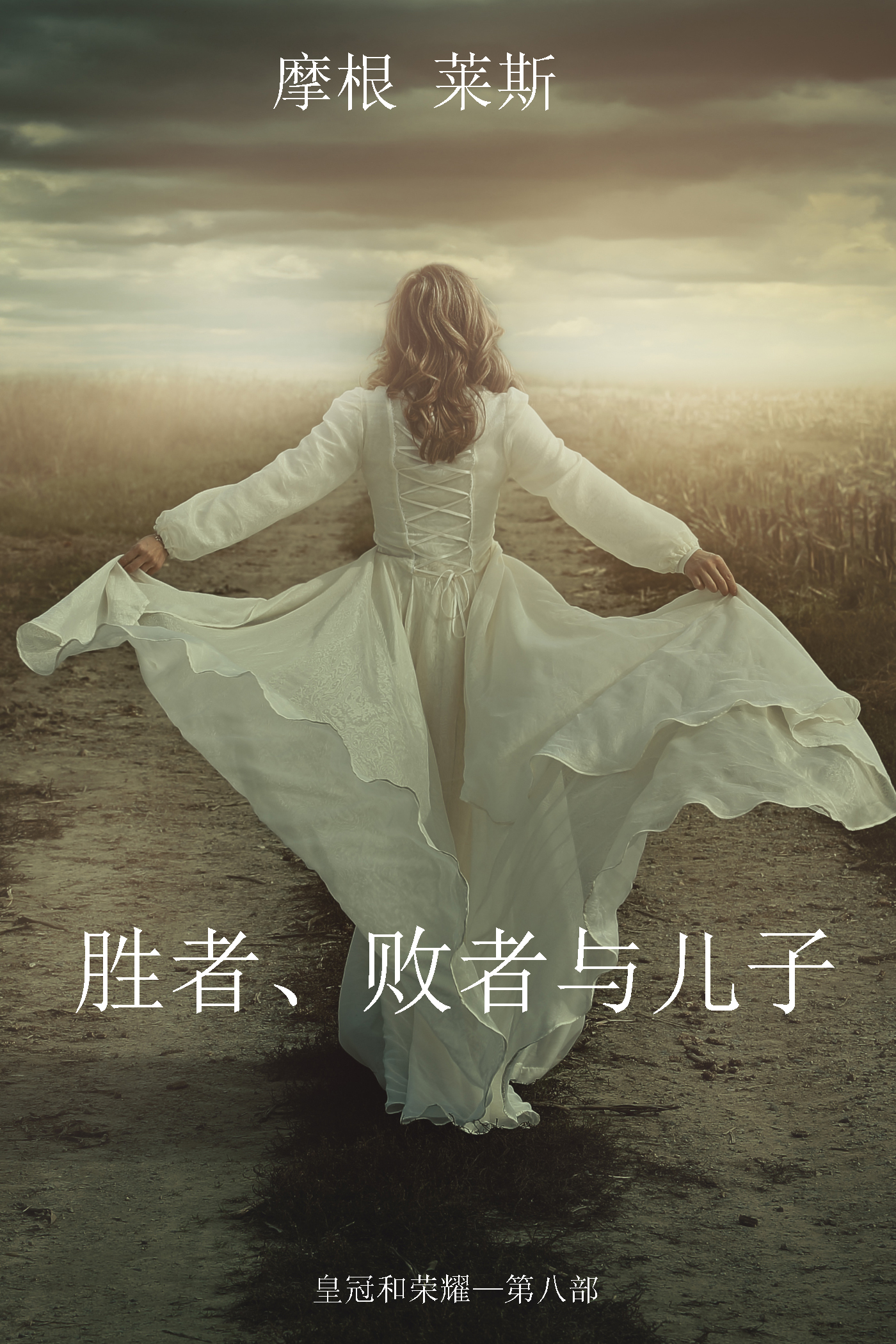 Обложка книги «胜者、败者与儿子»
