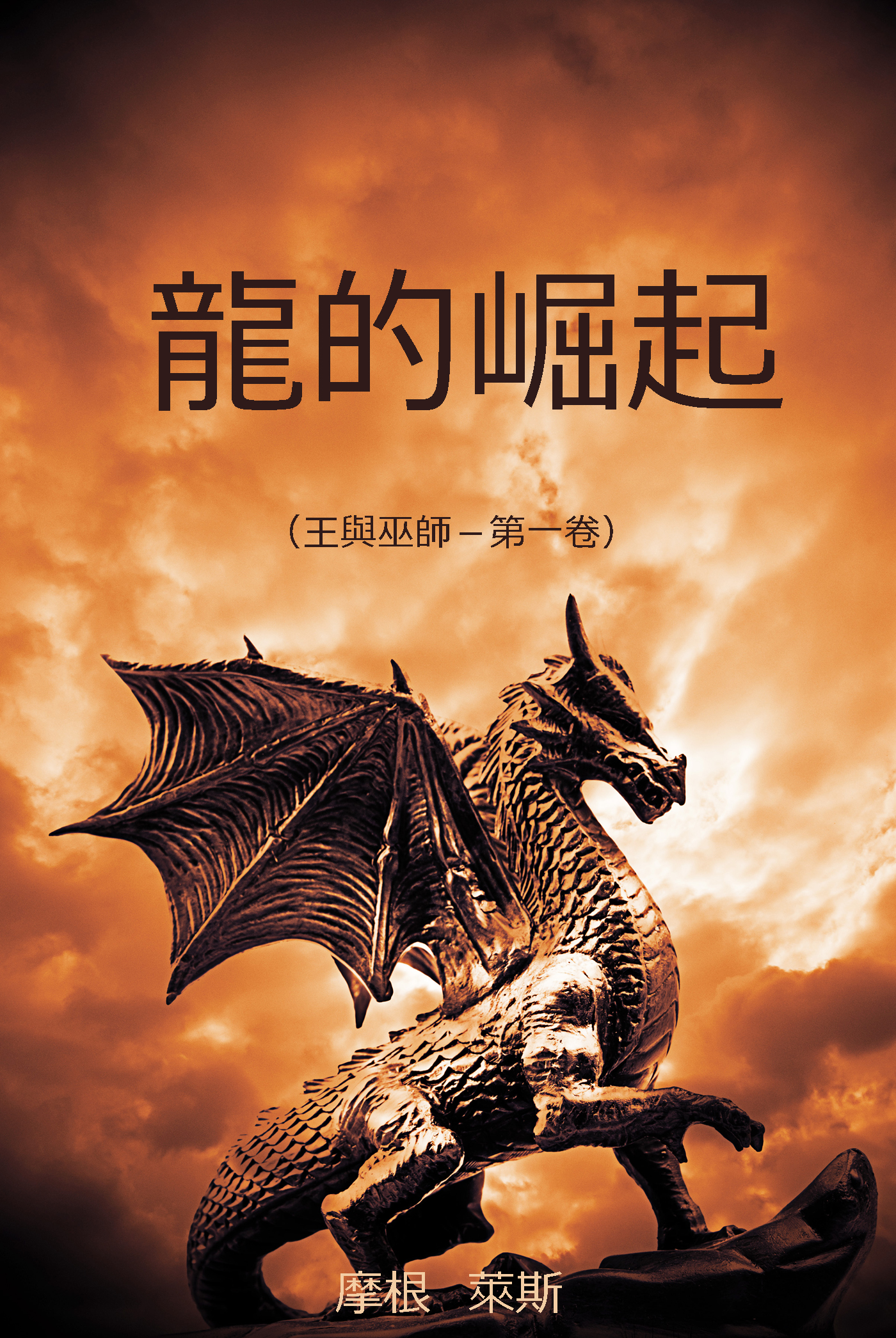 Обложка книги «龍的崛起»