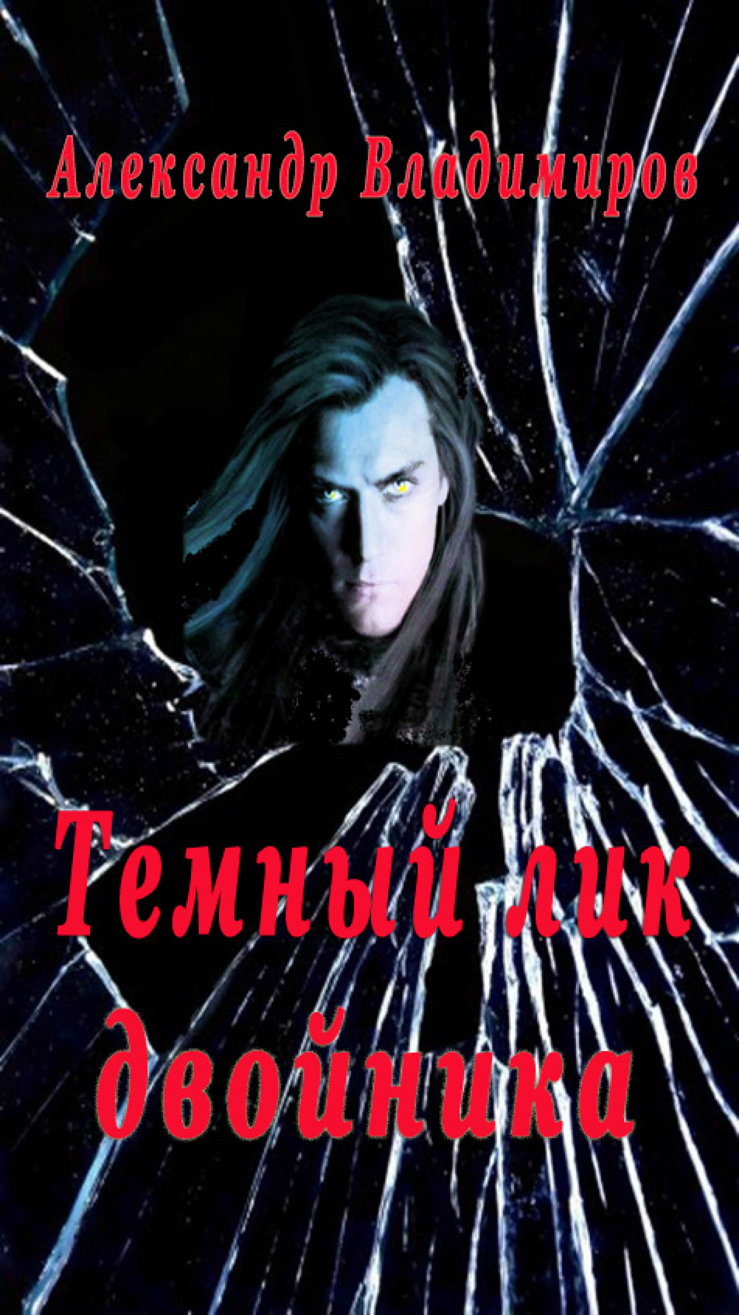 Обложка книги «Темный лик двойника»