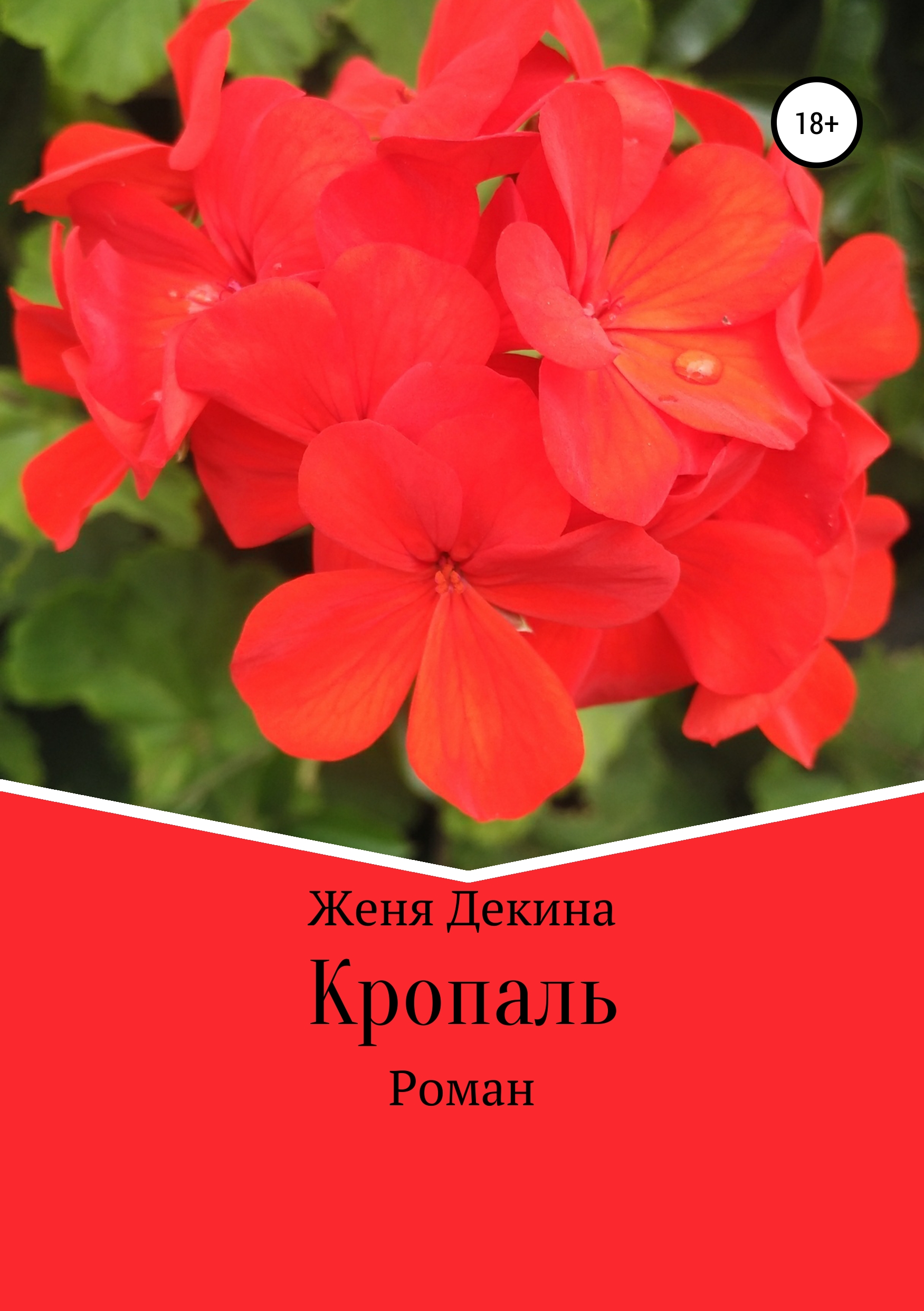 Обложка книги «Кропаль. Роман»