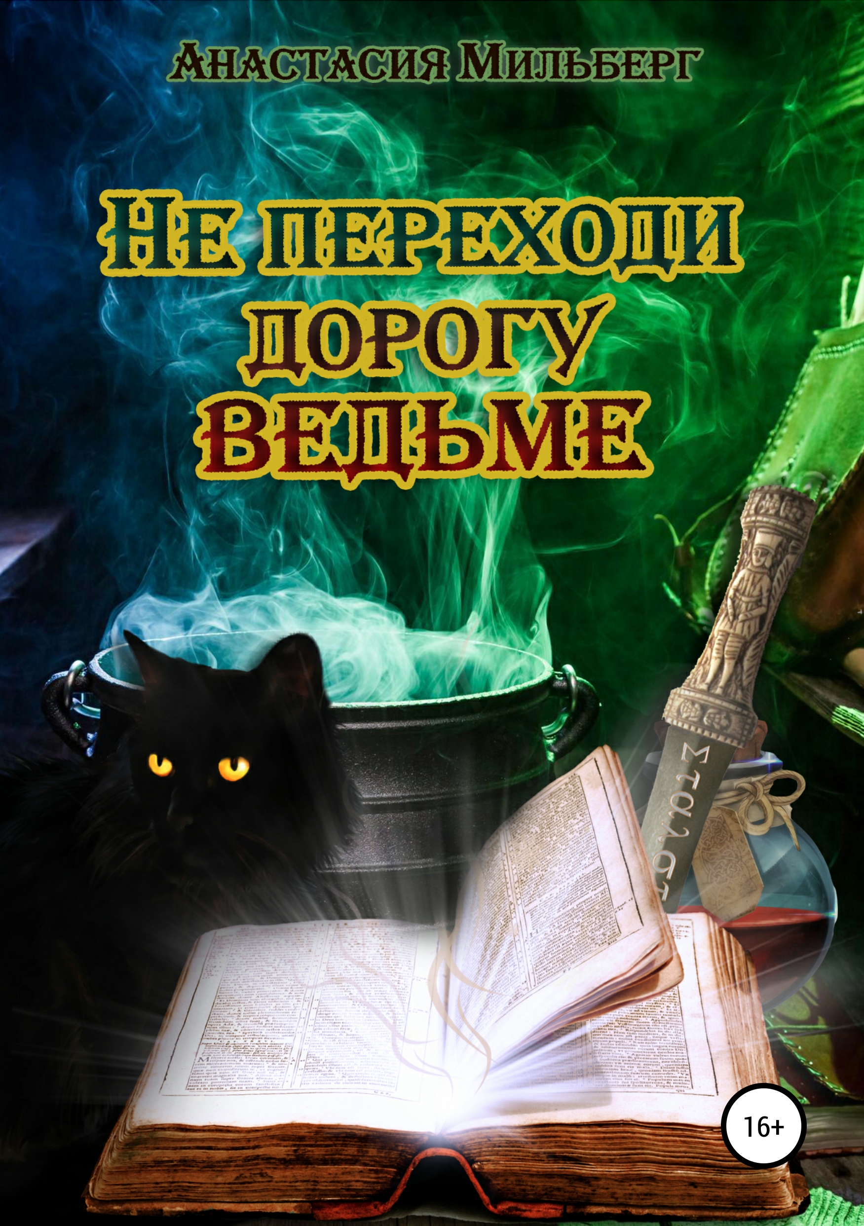 Обложка книги «Не переходи дорогу ведьме»