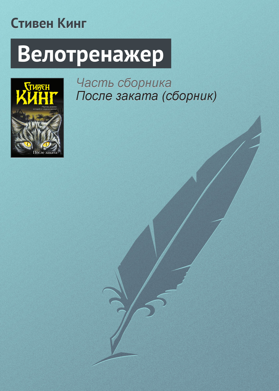 Обложка книги «Велотренажер»