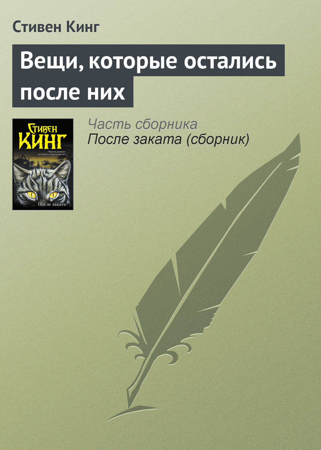 Обложка книги «Вещи, которые остались после них»