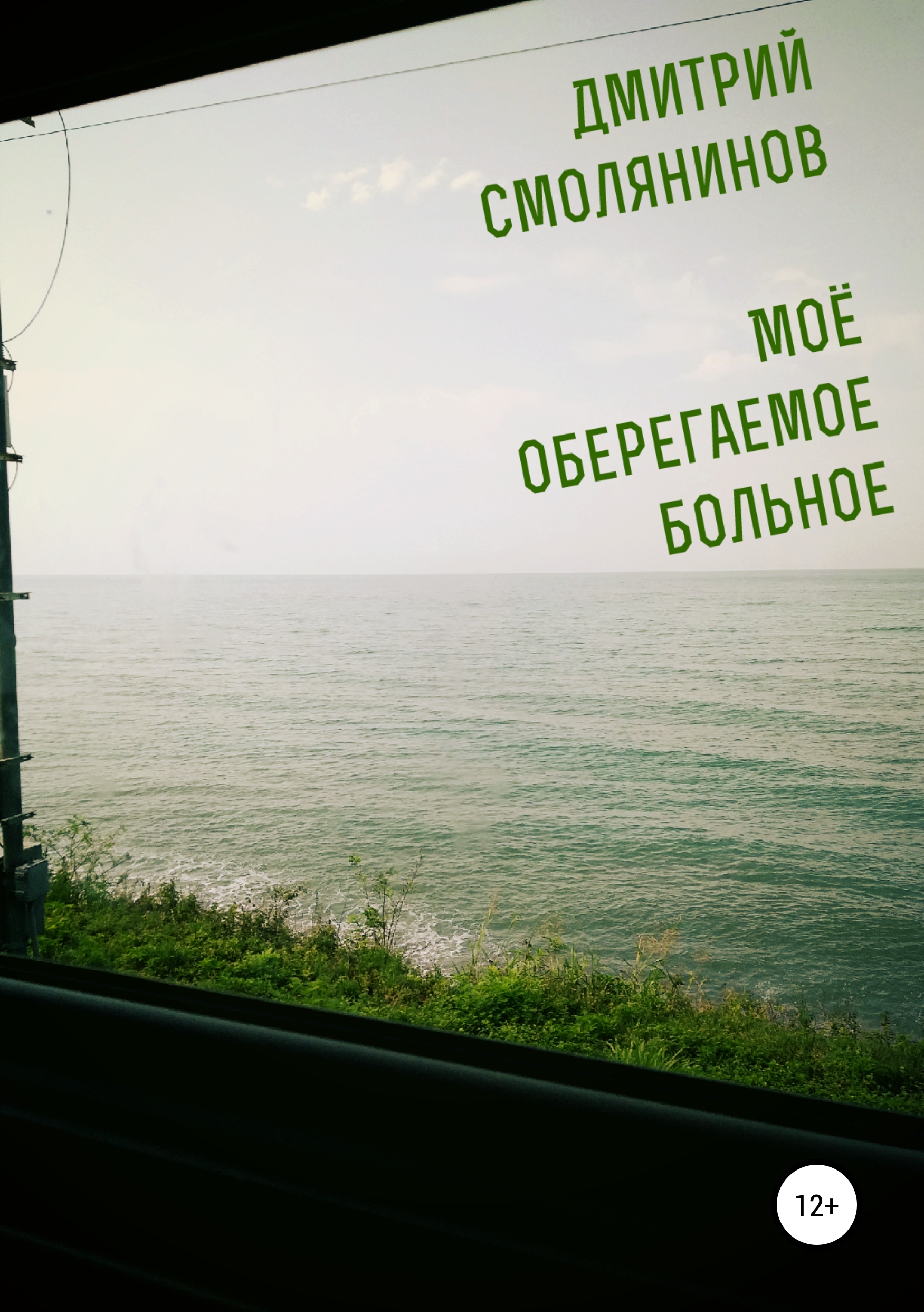 Обложка книги «Моё оберегаемое больное»