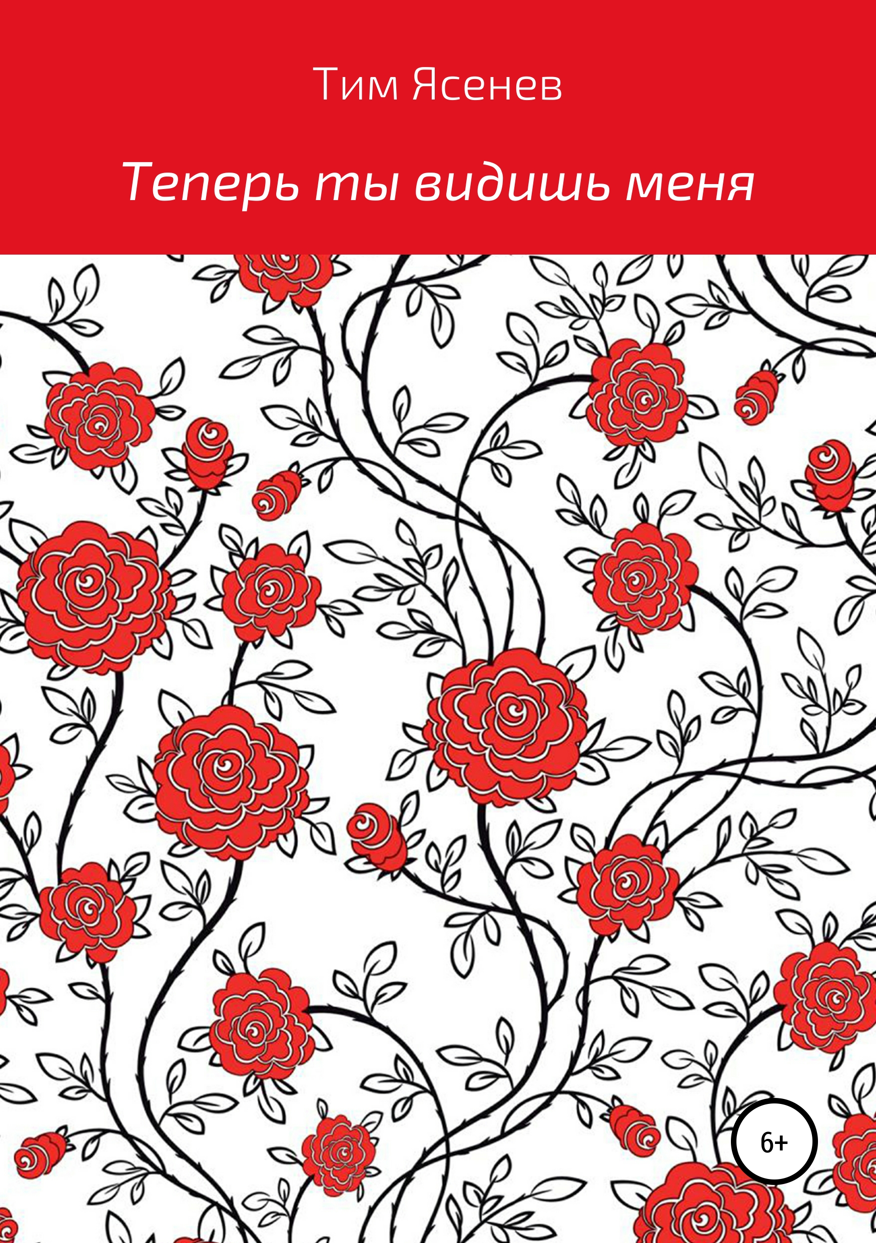 Обложка книги «Теперь ты видишь меня»