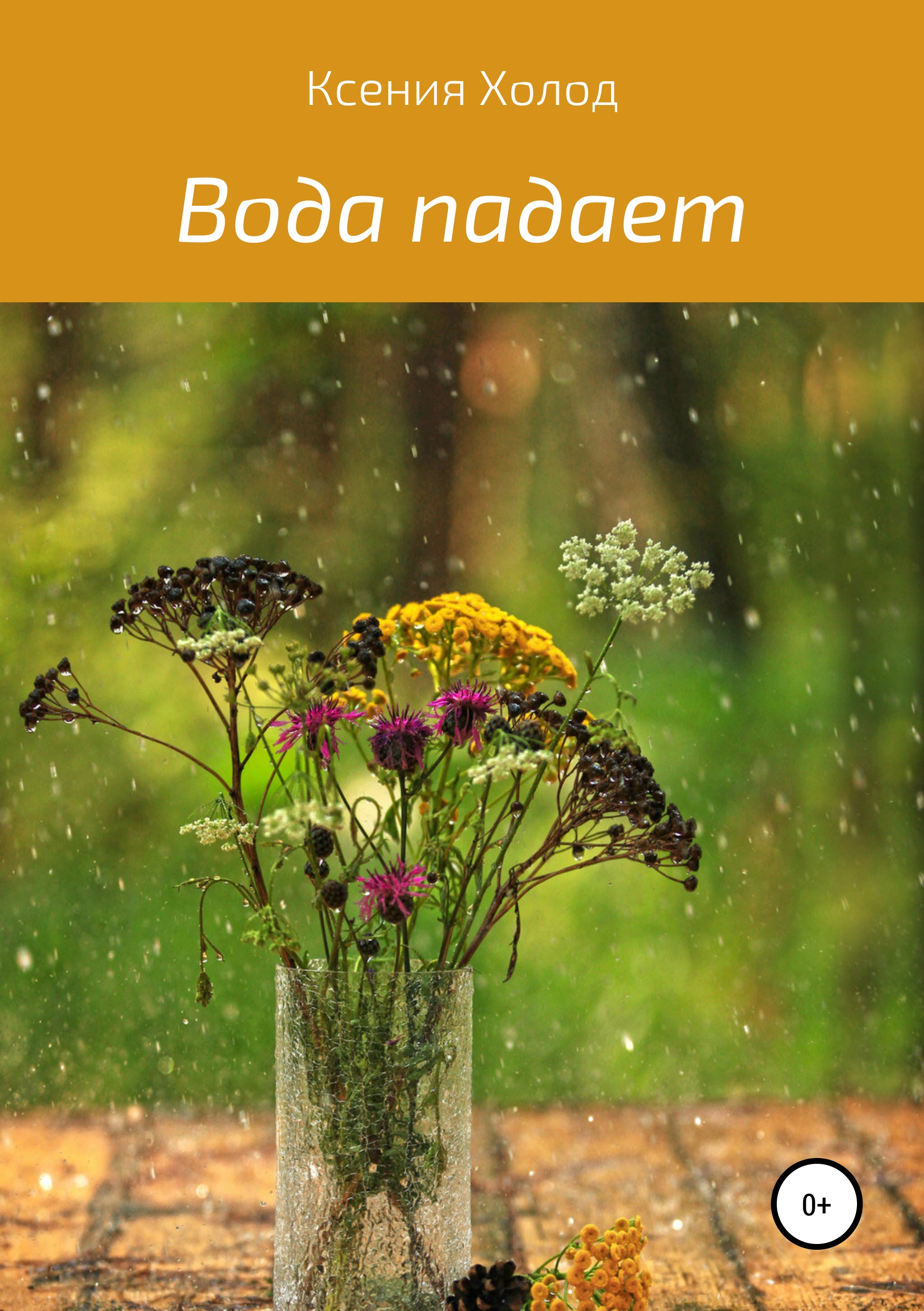 Обложка книги «Вода падает»