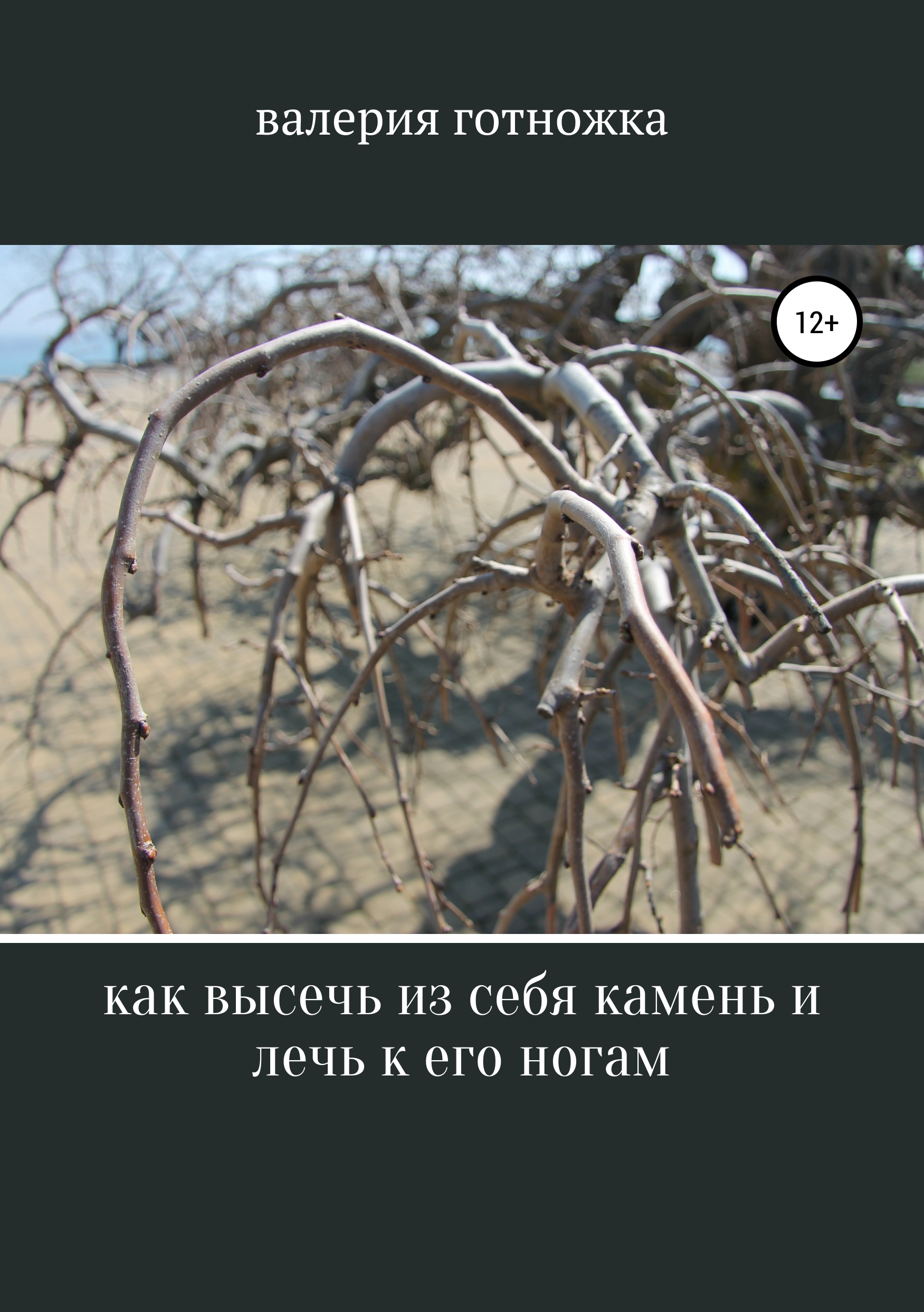 Обложка книги «Как высечь из себя камень и лечь к его ногам»