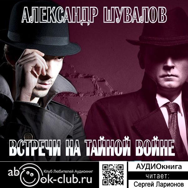 Обложка книги «Встречи на тайной войне»